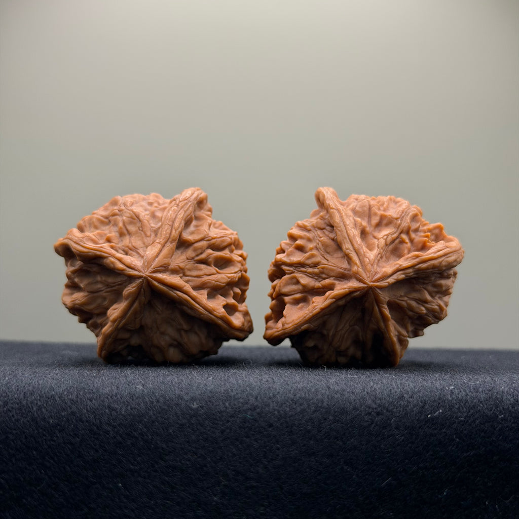 Four-Rib Wenwan Walnut · 44mm · Natural · Select Ritual
