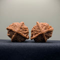 Four-Rib Wenwan Walnut · 44mm · Natural · Select Ritual