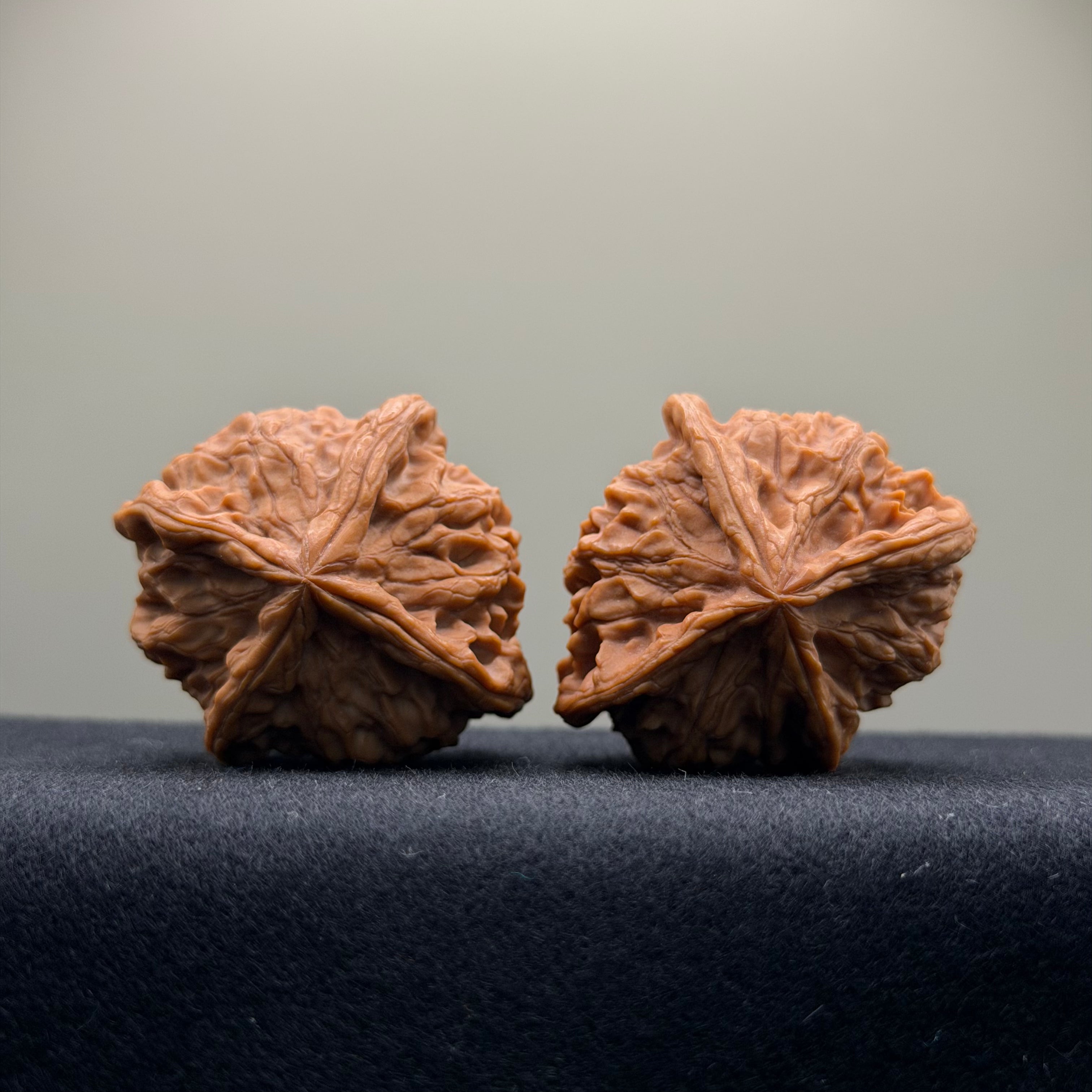 Four-Rib Wenwan Walnut · 44mm · Natural · Select Ritual