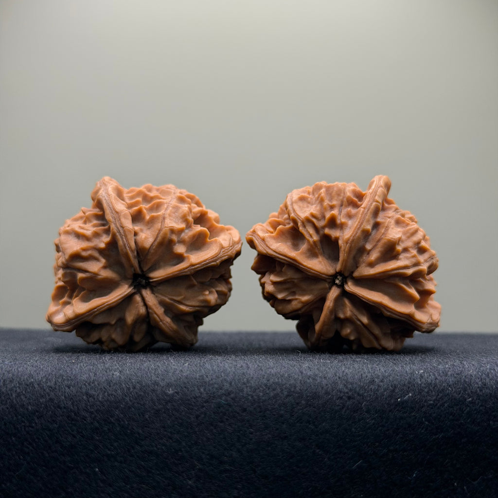 Four-Rib Wenwan Walnut · 44mm · Natural · Select Ritual
