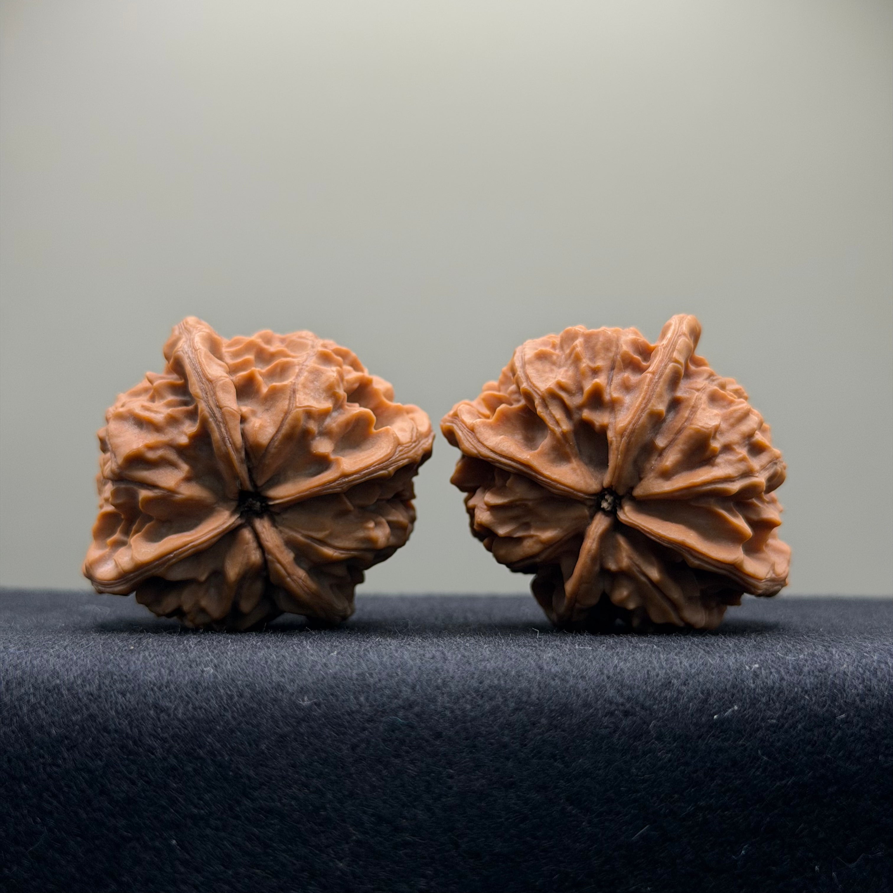 Four-Rib Wenwan Walnut · 44mm · Natural · Select Ritual