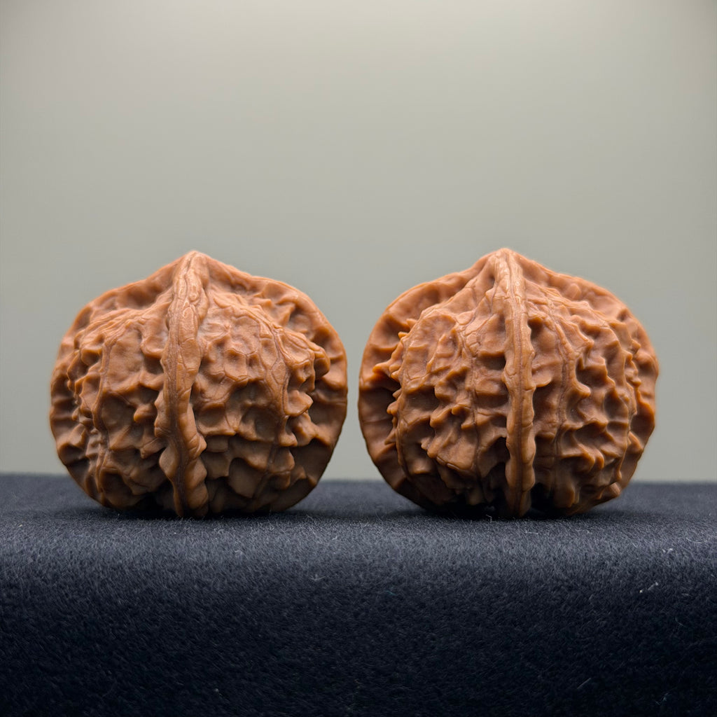 Four-Rib Wenwan Walnut · 44mm · Natural · Select Ritual
