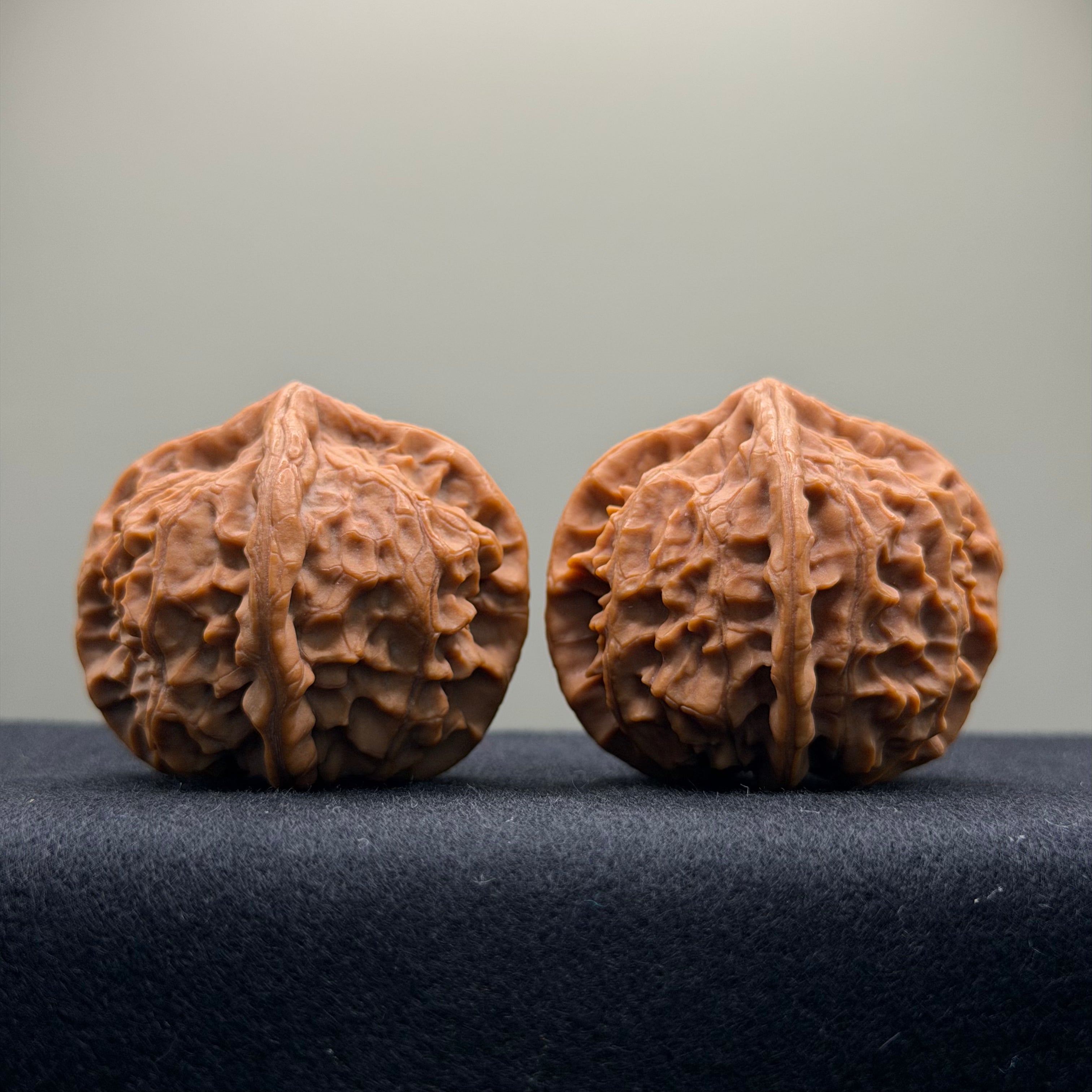 Four-Rib Wenwan Walnut · 44mm · Natural · Select Ritual