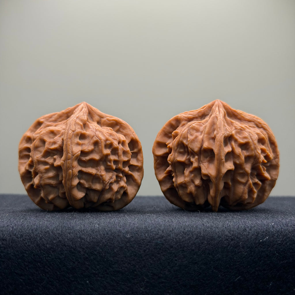 Four-Rib Wenwan Walnut · 44mm · Natural · Select Ritual