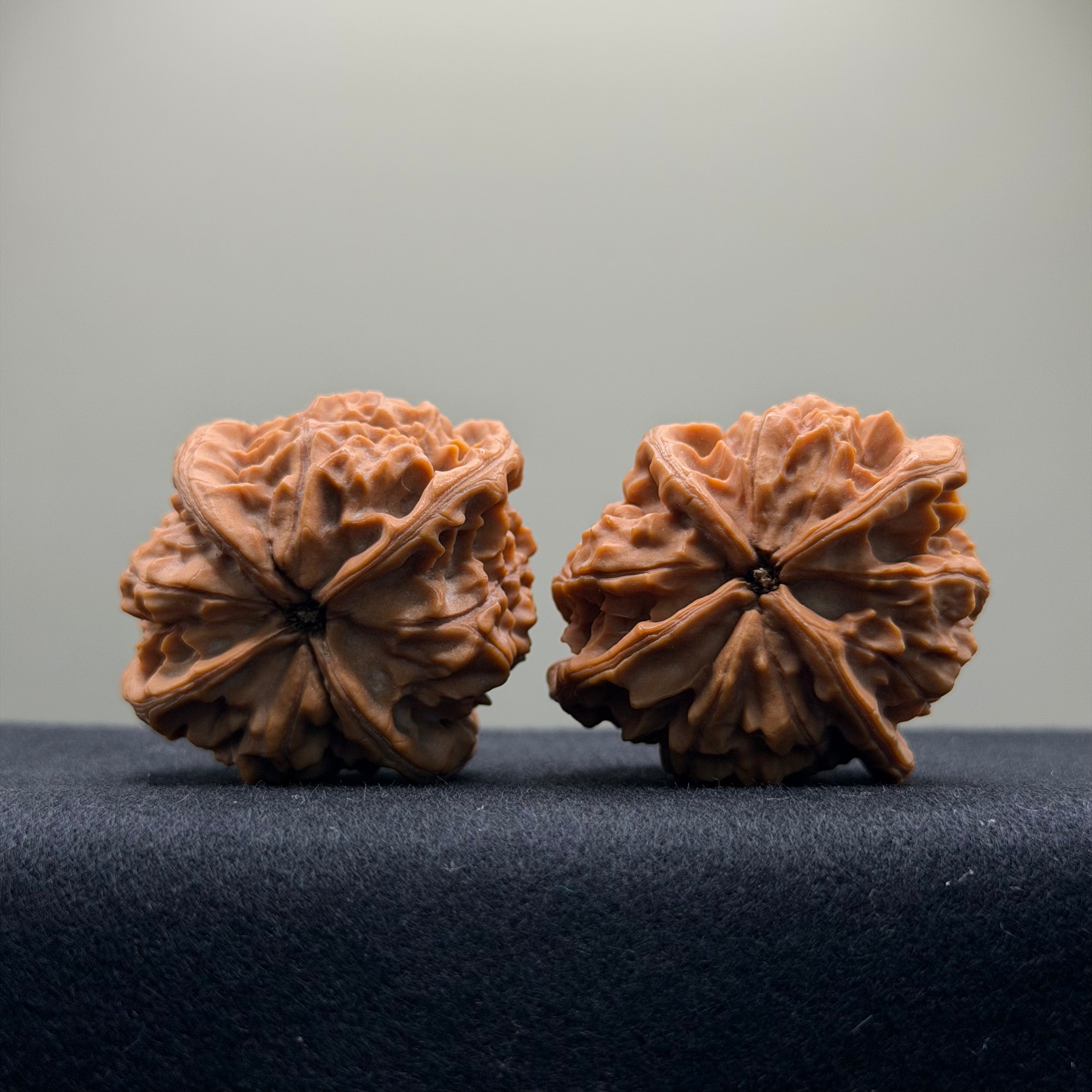 Four-Rib Wenwan Walnut · 44mm · Natural · Select Ritual