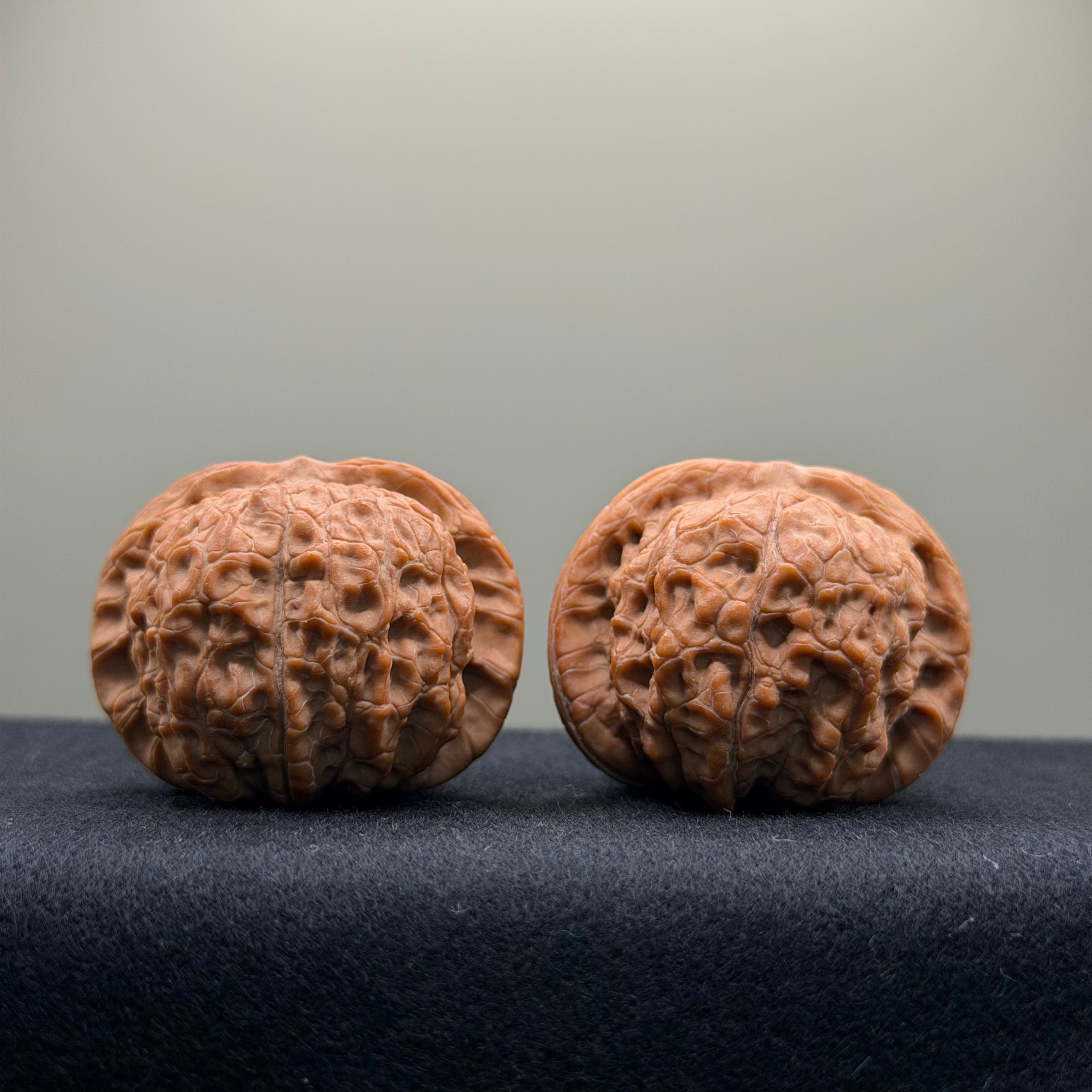 Blood Kirin Wenwan Walnut  · 40mm · Natural · Premium Ritual