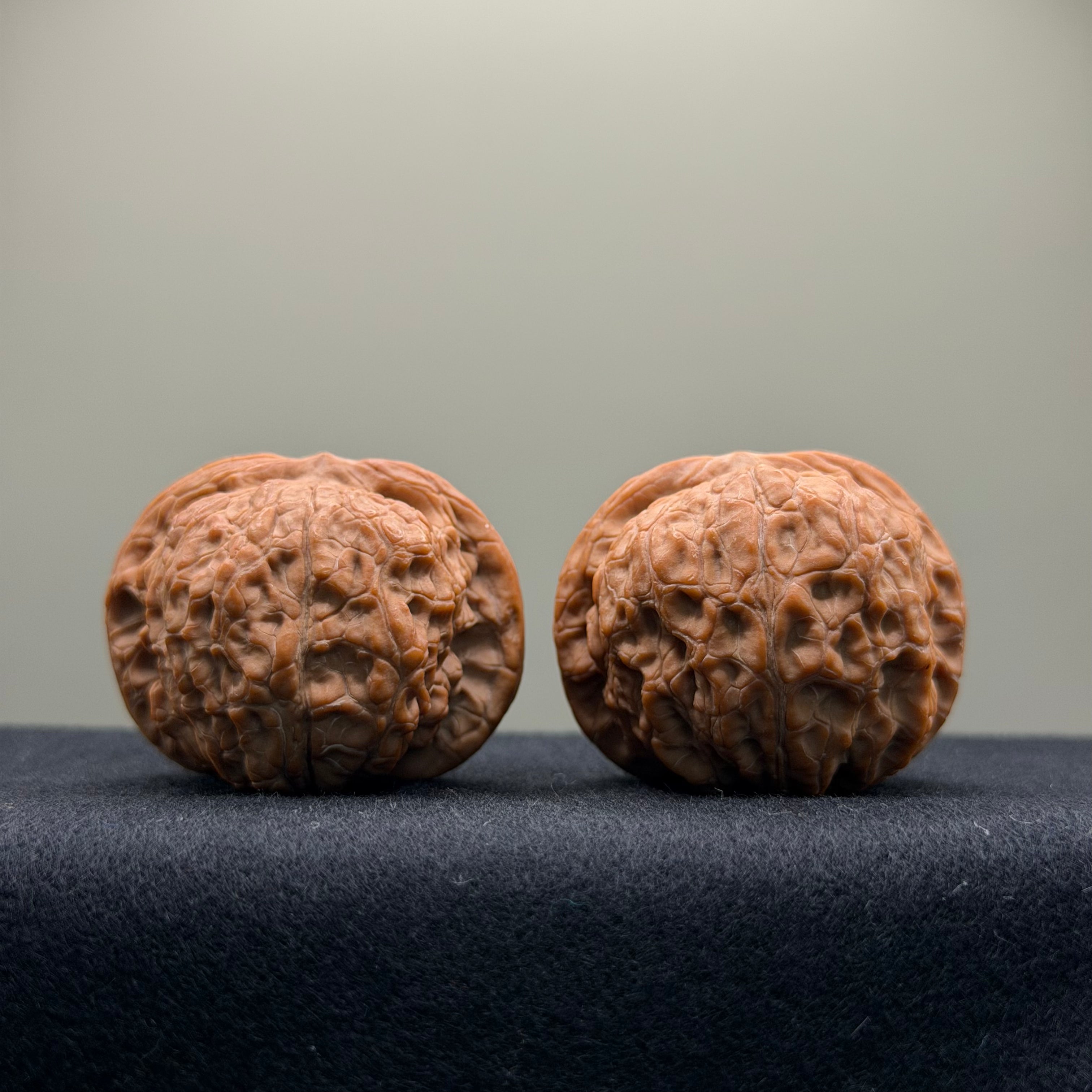Blood Kirin Wenwan Walnut  · 40mm · Natural · Premium Ritual