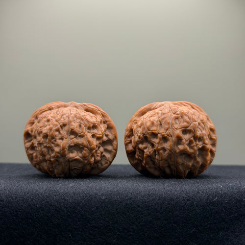 Blood Kirin Wenwan Walnut  · 40mm · Natural · Collector Ritual