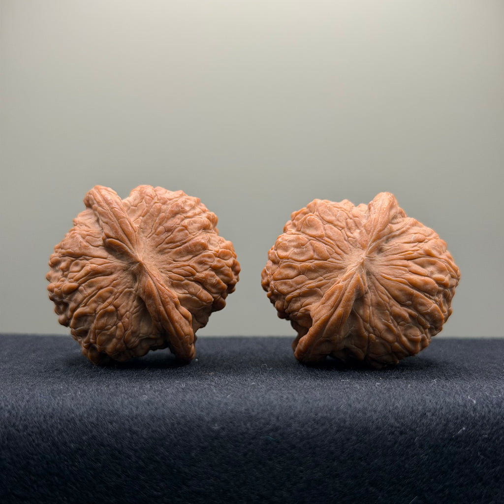 Blood Kirin Wenwan Walnut  · 40mm · Natural · Premium Ritual