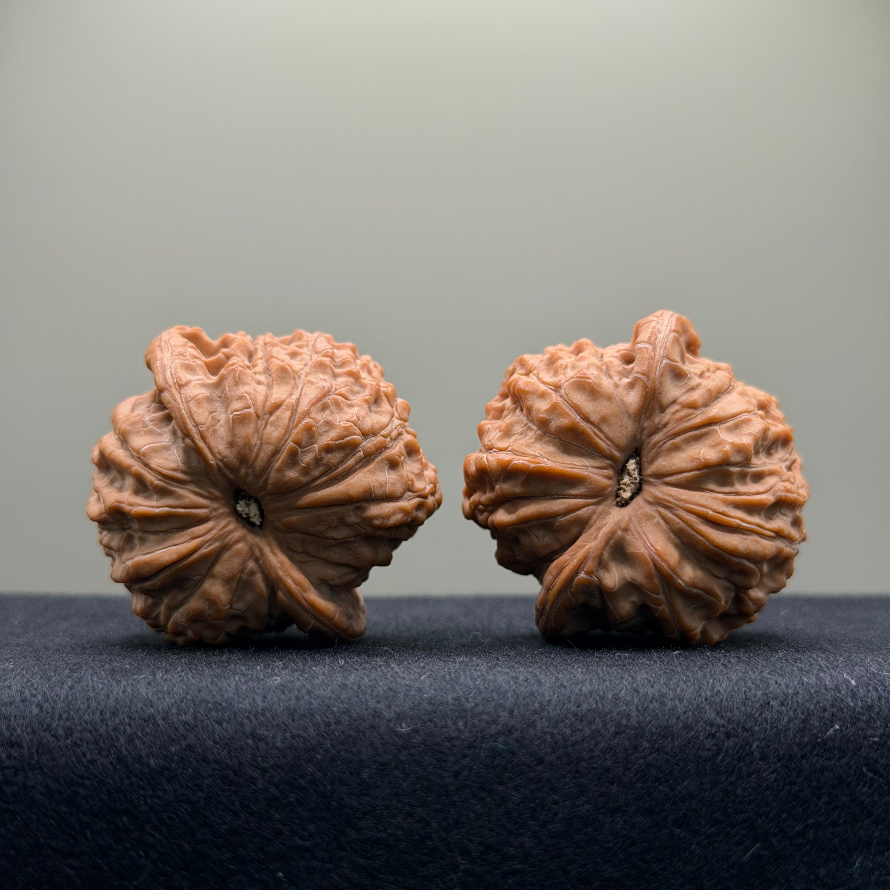Blood Kirin Wenwan Walnut  · 40mm · Natural · Premium Ritual