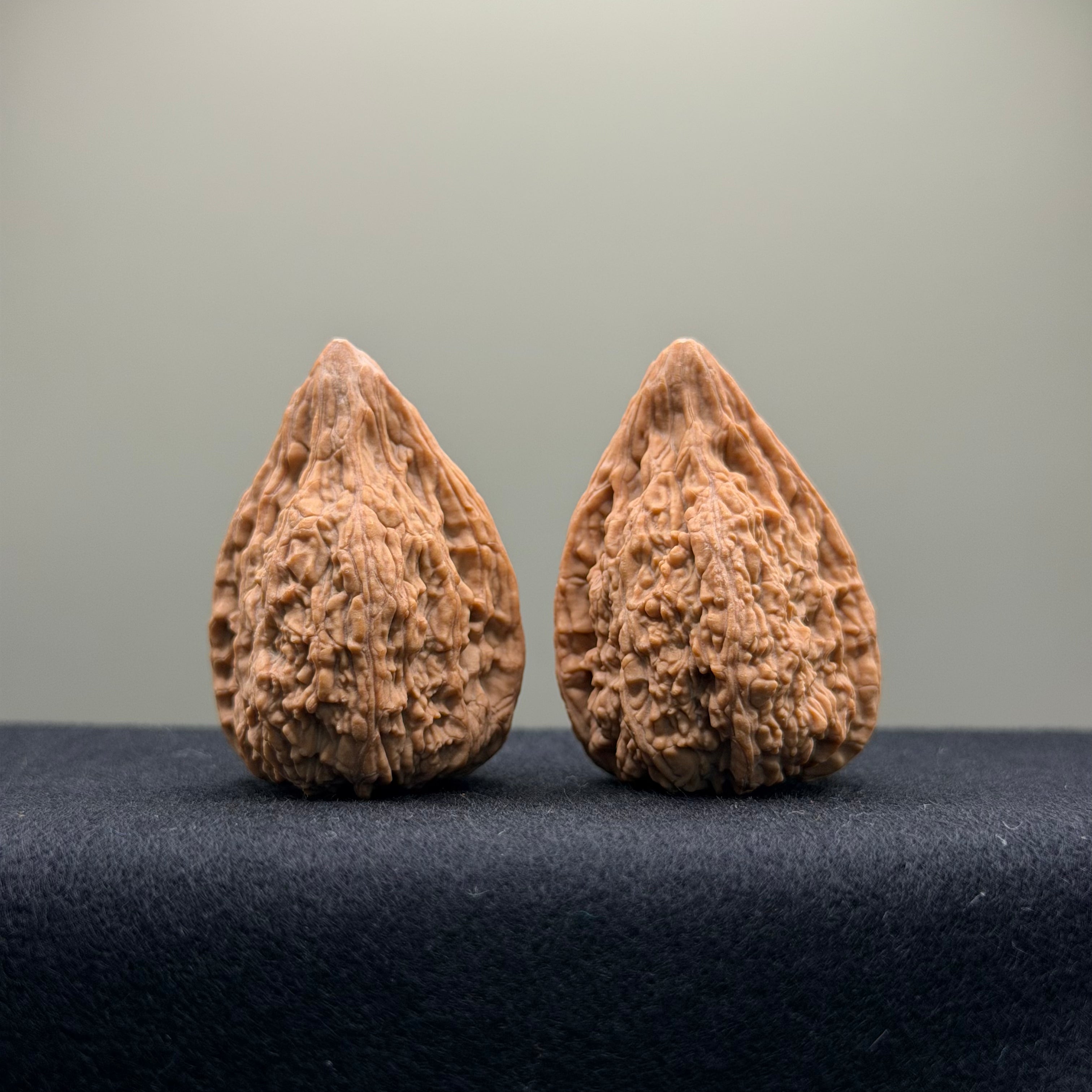 Tower Tip Wenwan Walnut  · 31mm · Natural · Premium Ritual