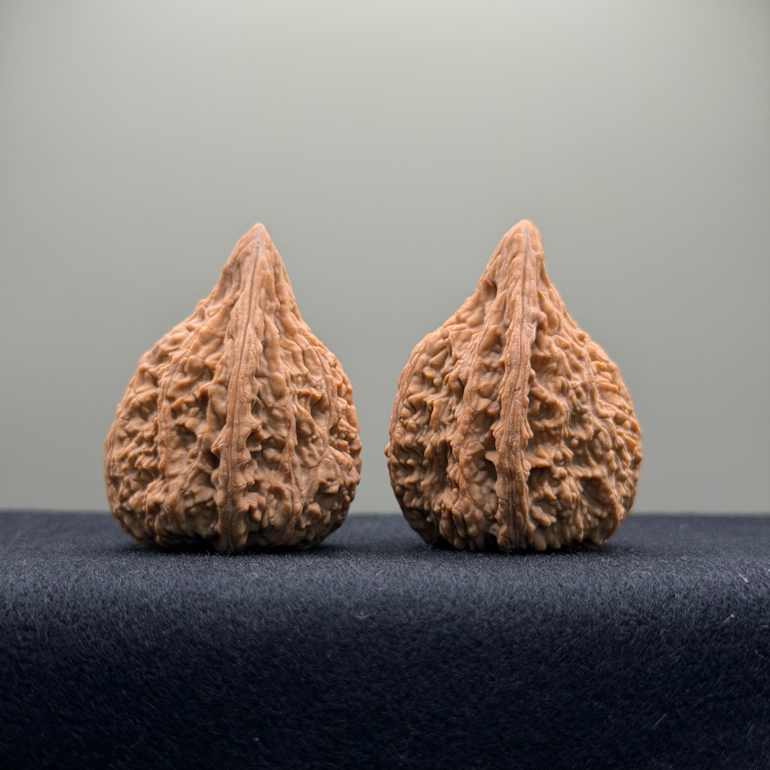 Tower Tip Wenwan Walnut  · 31mm · Natural · Premium Ritual