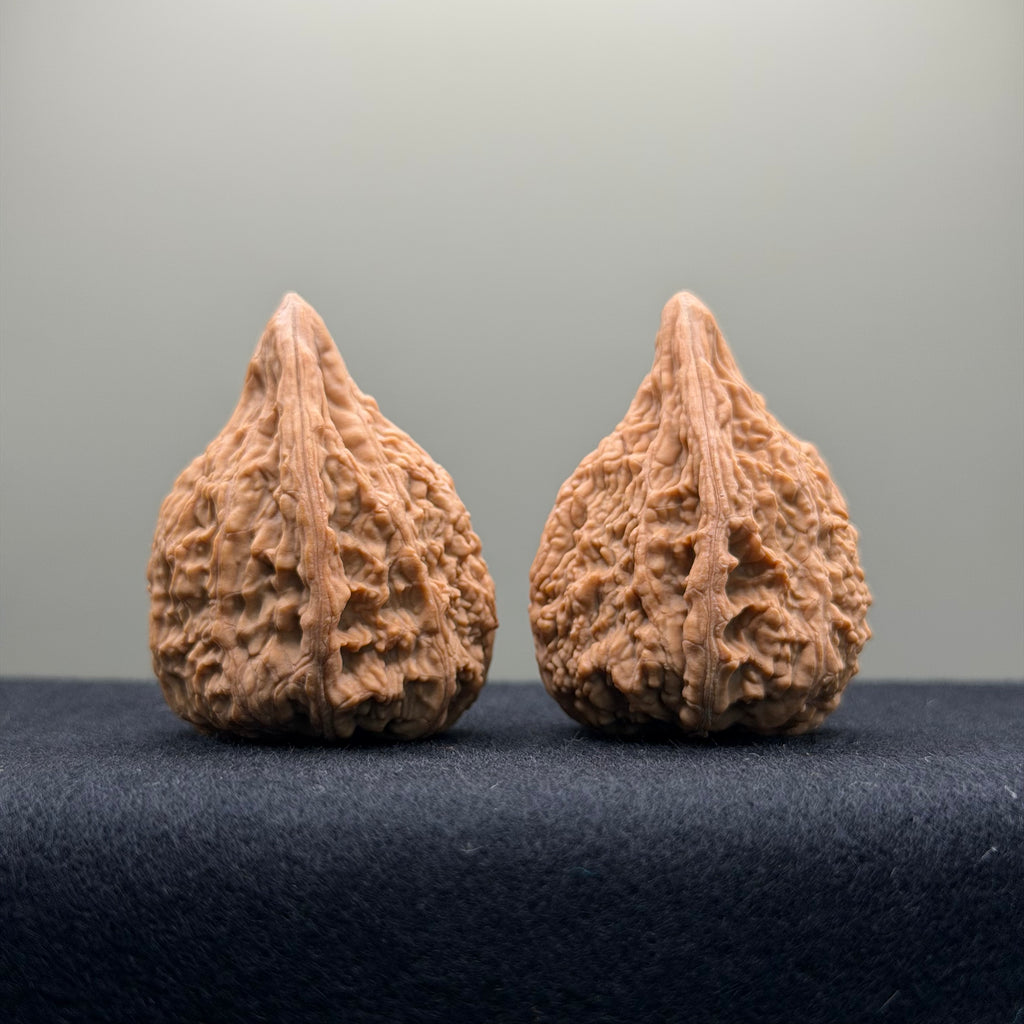 Tower Tip Wenwan Walnut  · 31mm · Natural · Premium Ritual