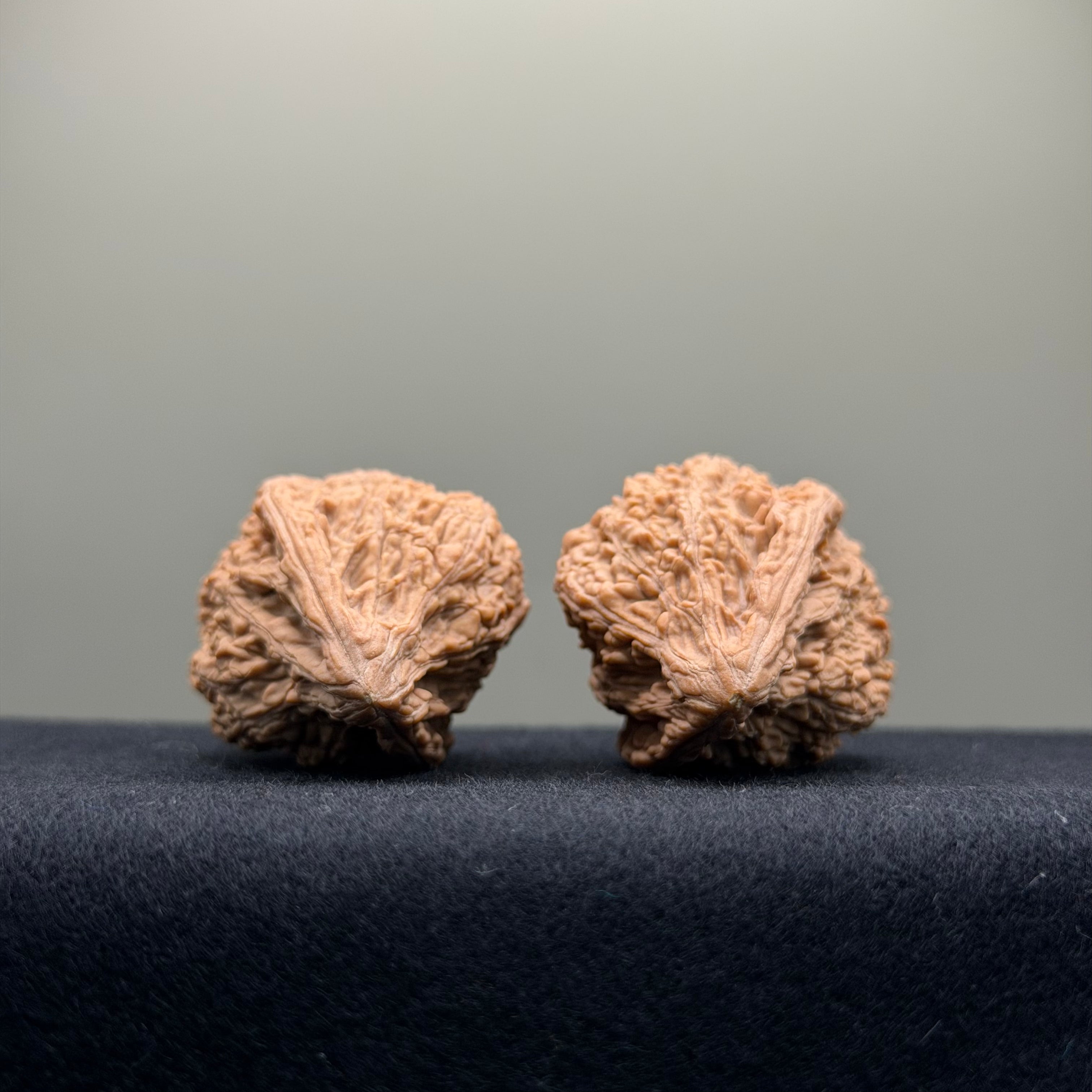 Tower Tip Wenwan Walnut  · 31mm · Natural · Premium Ritual