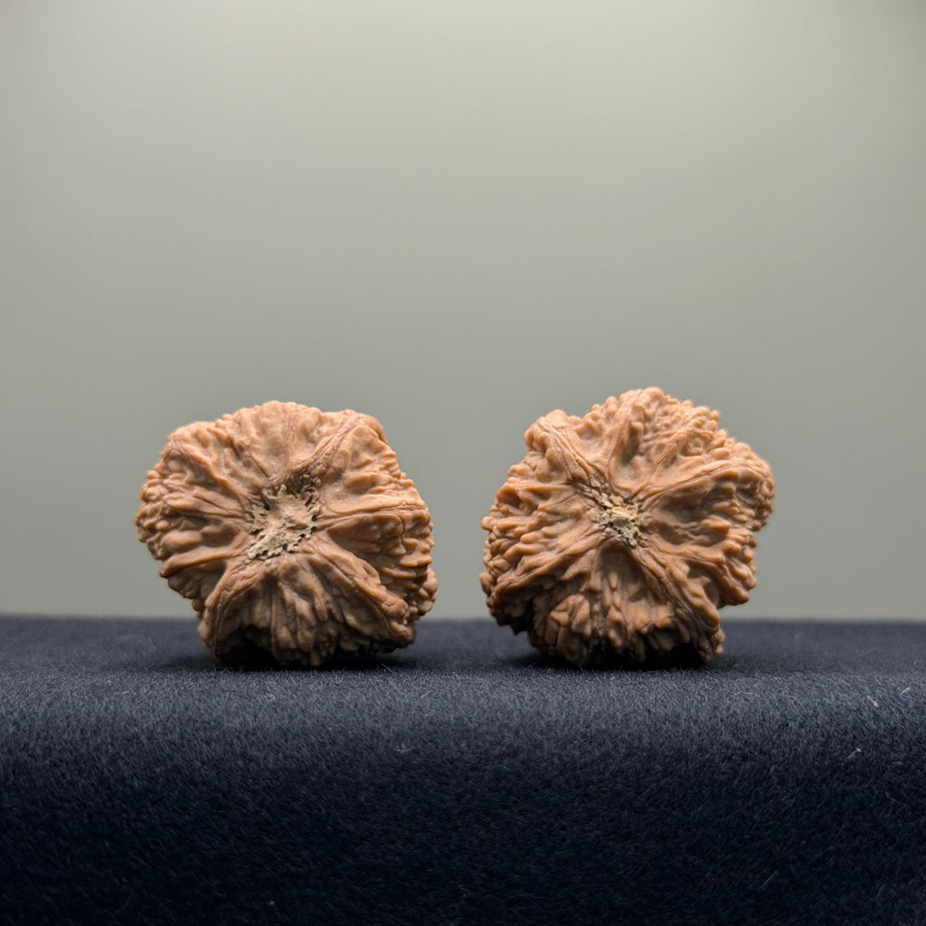 Tower Tip Wenwan Walnut  · 31mm · Natural · Premium Ritual