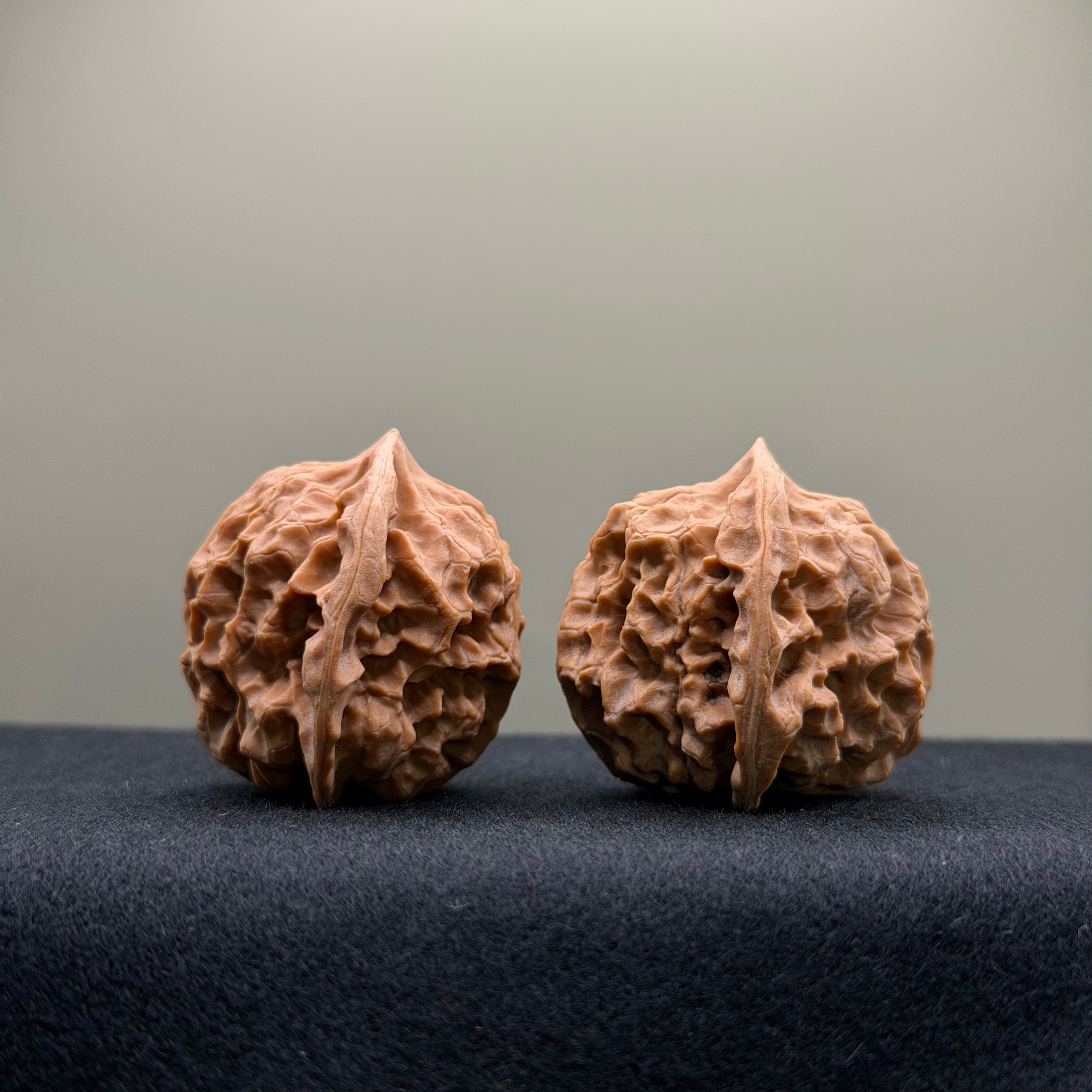 WalnutRitual Exclusive · First Love Wenwan Walnut · 37mm · Natural · Entry Ritual