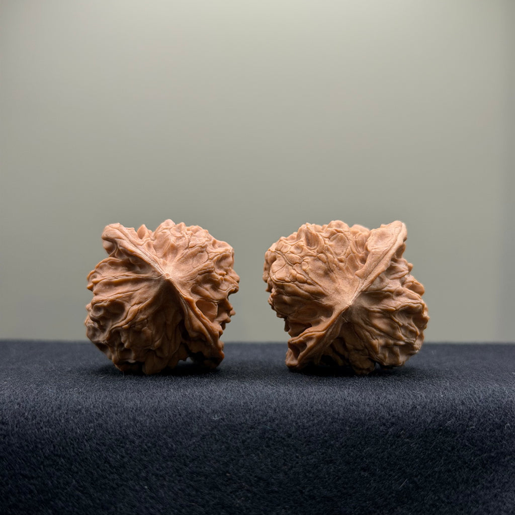 WalnutRitual Exclusive · First Love Wenwan Walnut · 37mm · Natural · Entry Ritual