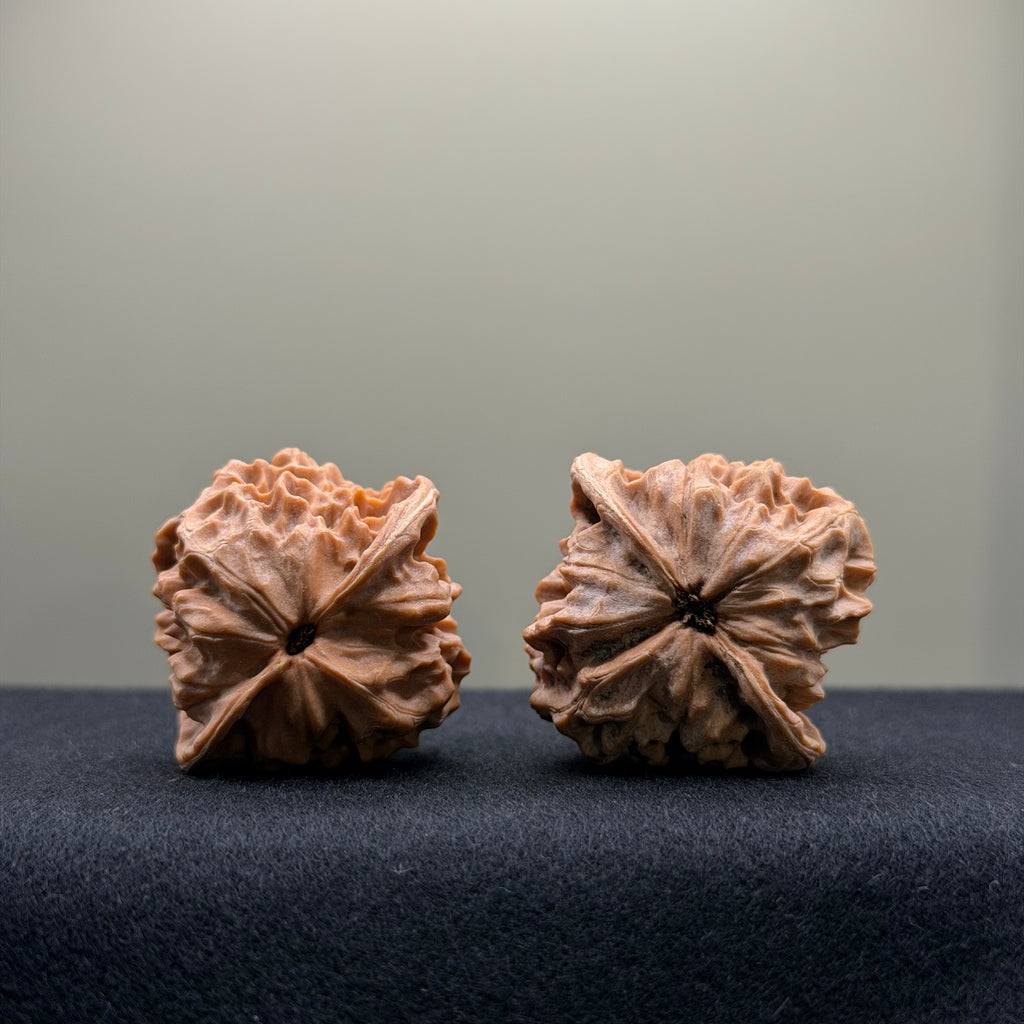 WalnutRitual Exclusive · First Love Wenwan Walnut · 37mm · Natural · Entry Ritual