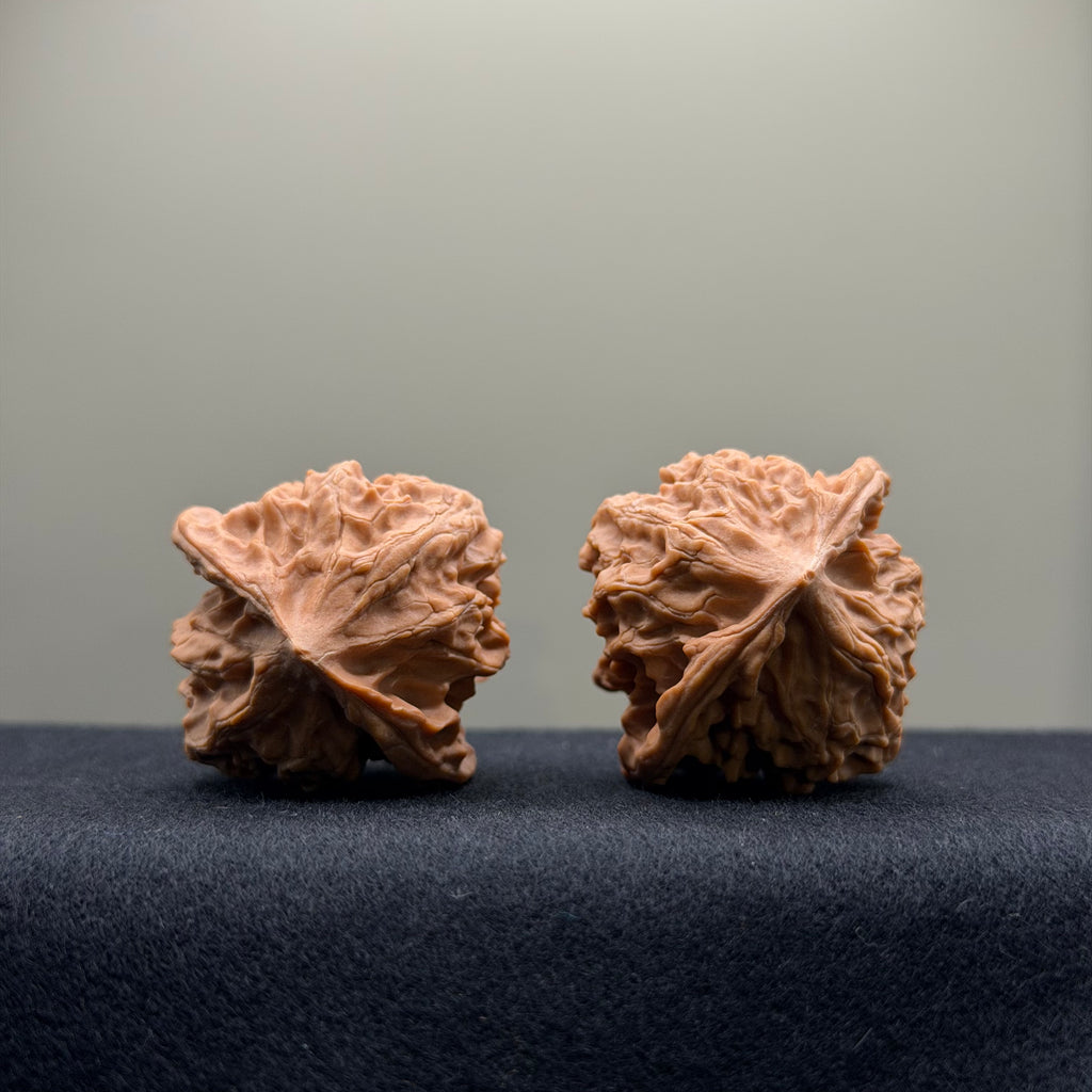 WalnutRitual Exclusive · First Love Wenwan Walnut · 38mm · Natural · Entry Ritual