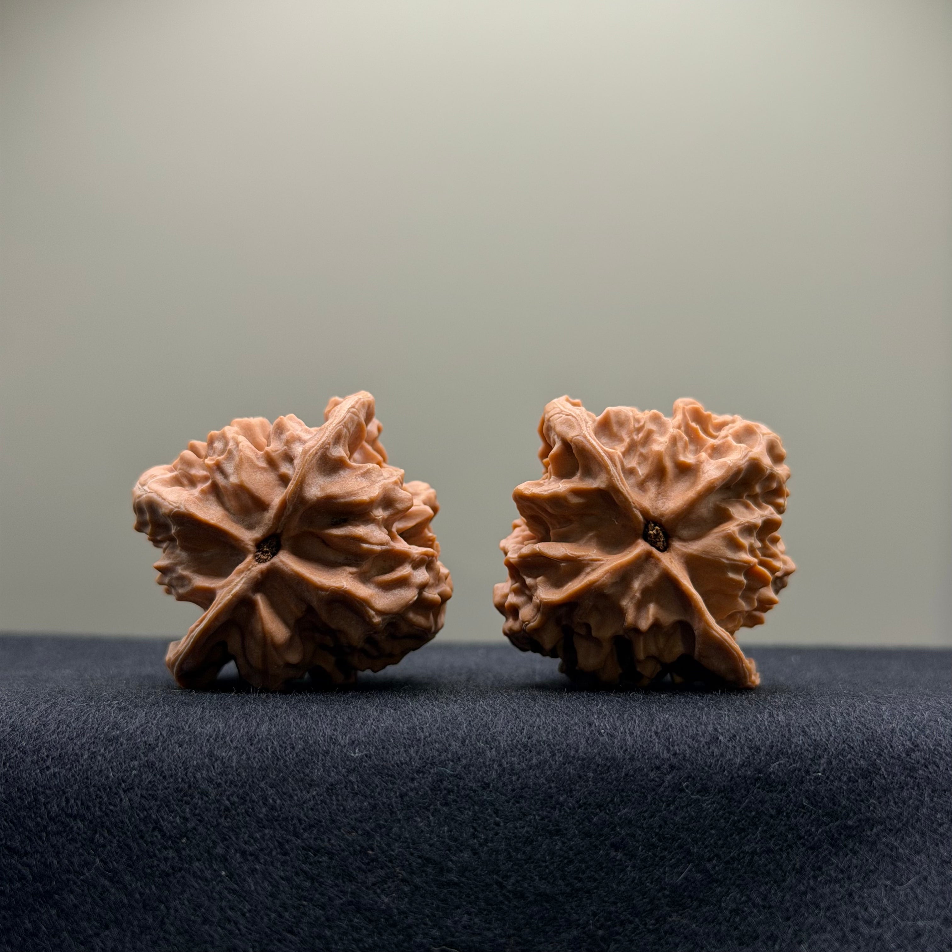 WalnutRitual Exclusive · First Love Wenwan Walnut · 38mm · Natural · Entry Ritual