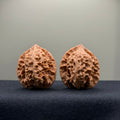 WalnutRitual Exclusive · First Love Wenwan Walnut · 38mm · Natural · Entry Ritual
