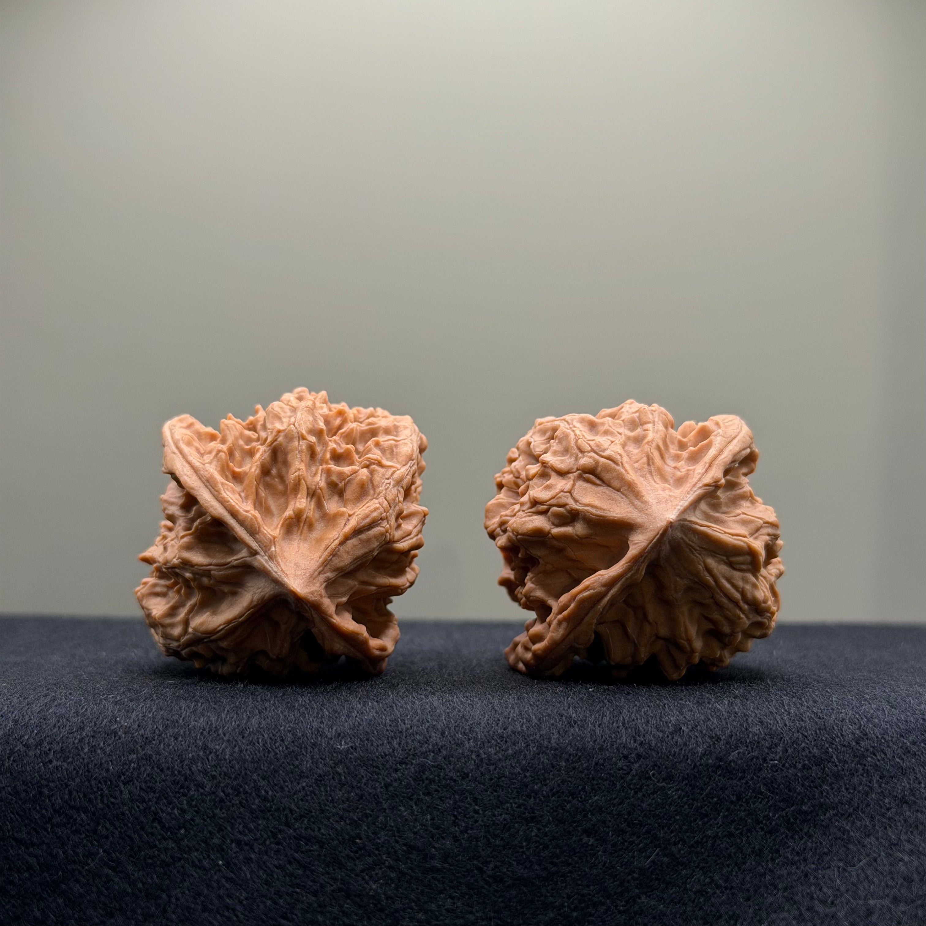 WalnutRitual Exclusive · First Love Wenwan Walnut · 38mm · Natural · Entry Ritual