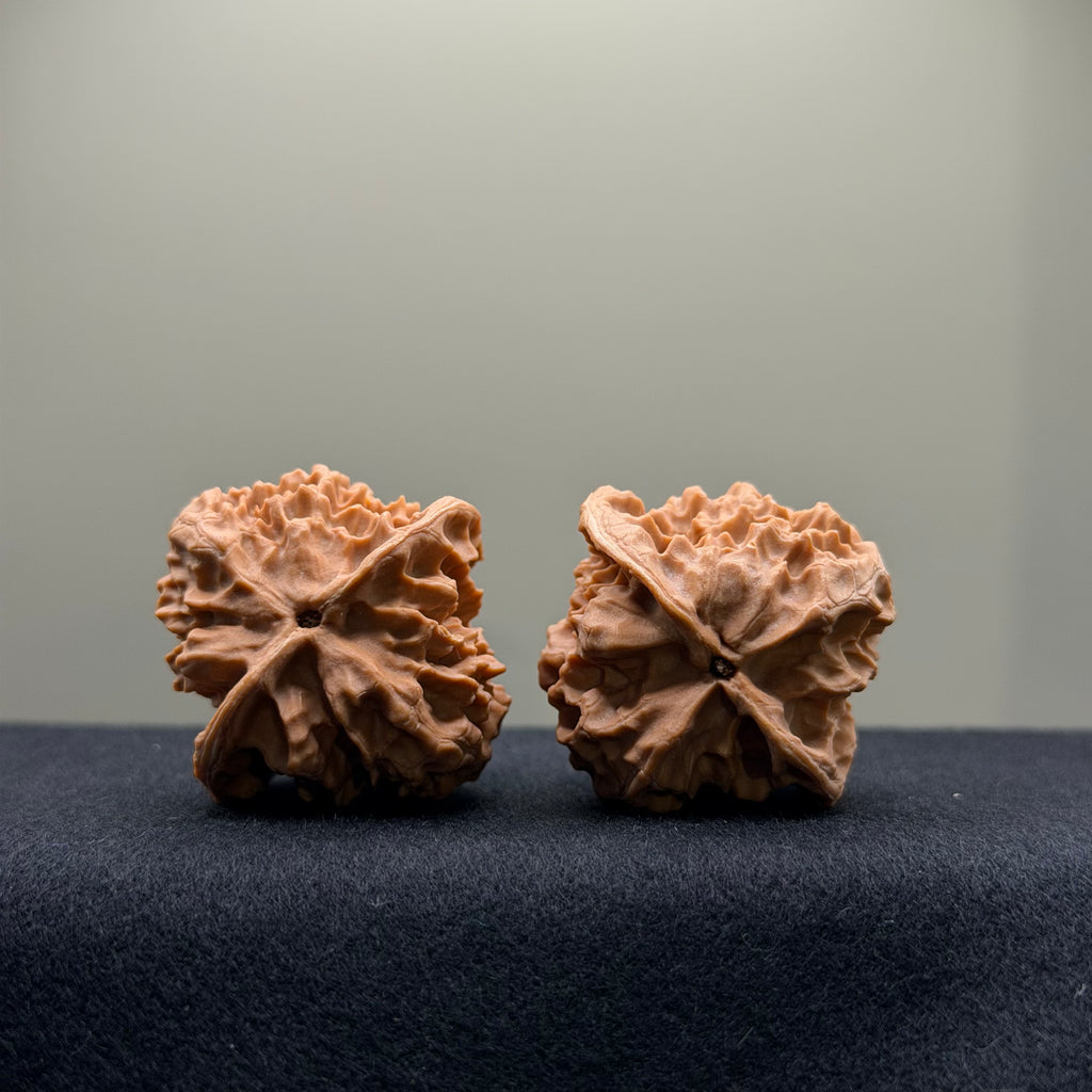 WalnutRitual Exclusive · First Love Wenwan Walnut · 38mm · Natural · Entry Ritual
