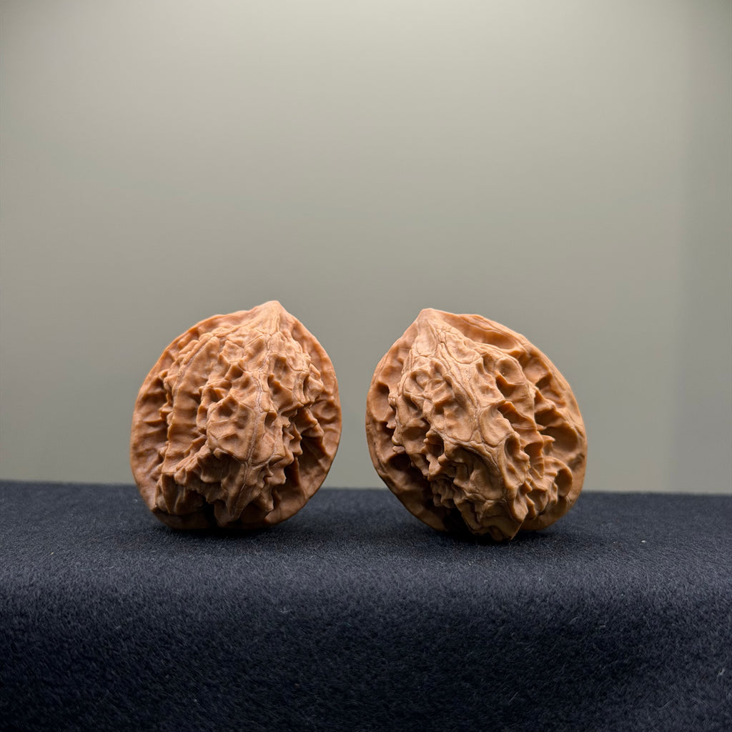 WalnutRitual Exclusive · First Love Wenwan Walnut · 35mm · Natural · Entry Ritual