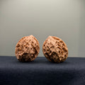 WalnutRitual Exclusive · First Love Wenwan Walnut · 35mm · Natural · Entry Ritual