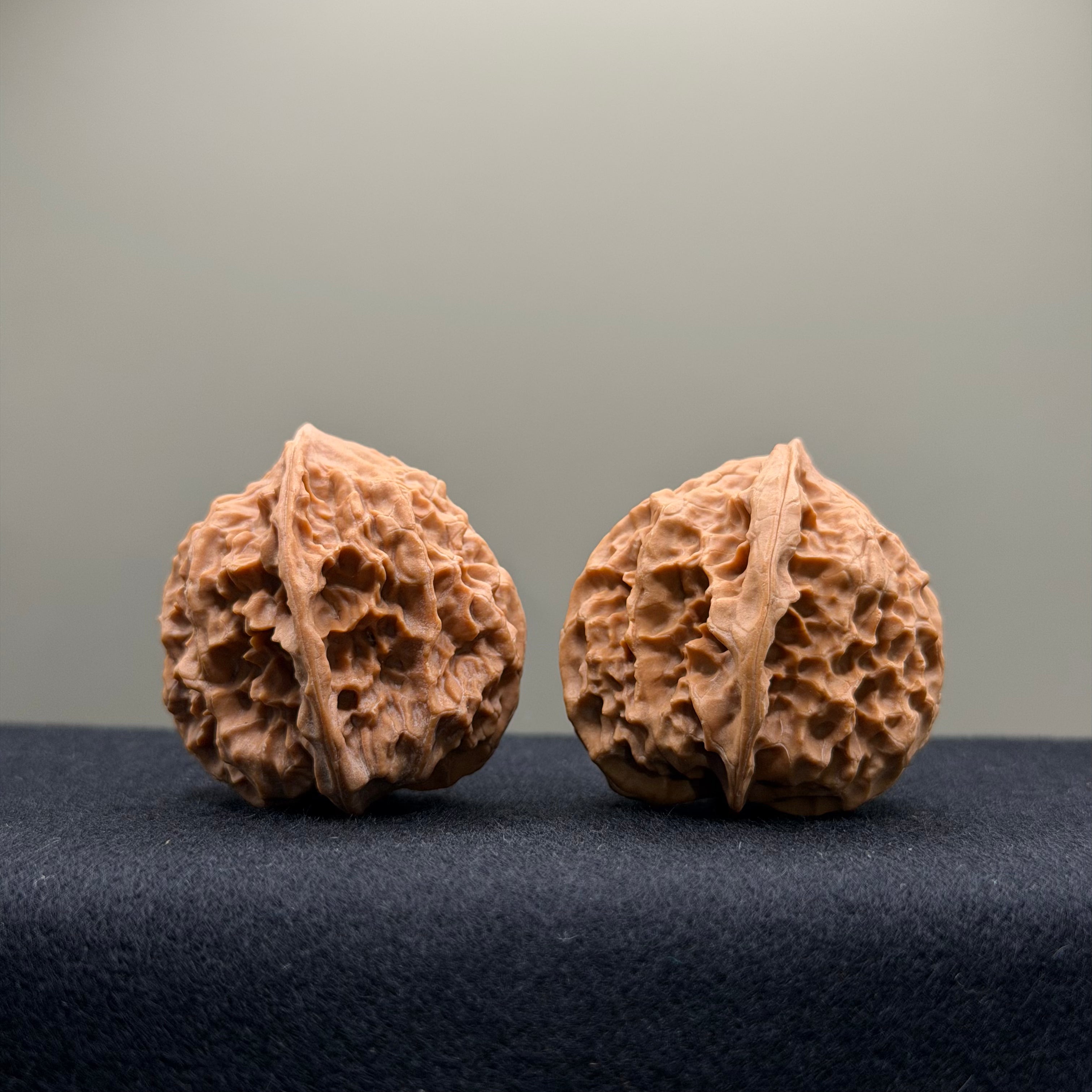 WalnutRitual Exclusive · First Love Wenwan Walnut · 35mm · Natural · Entry Ritual