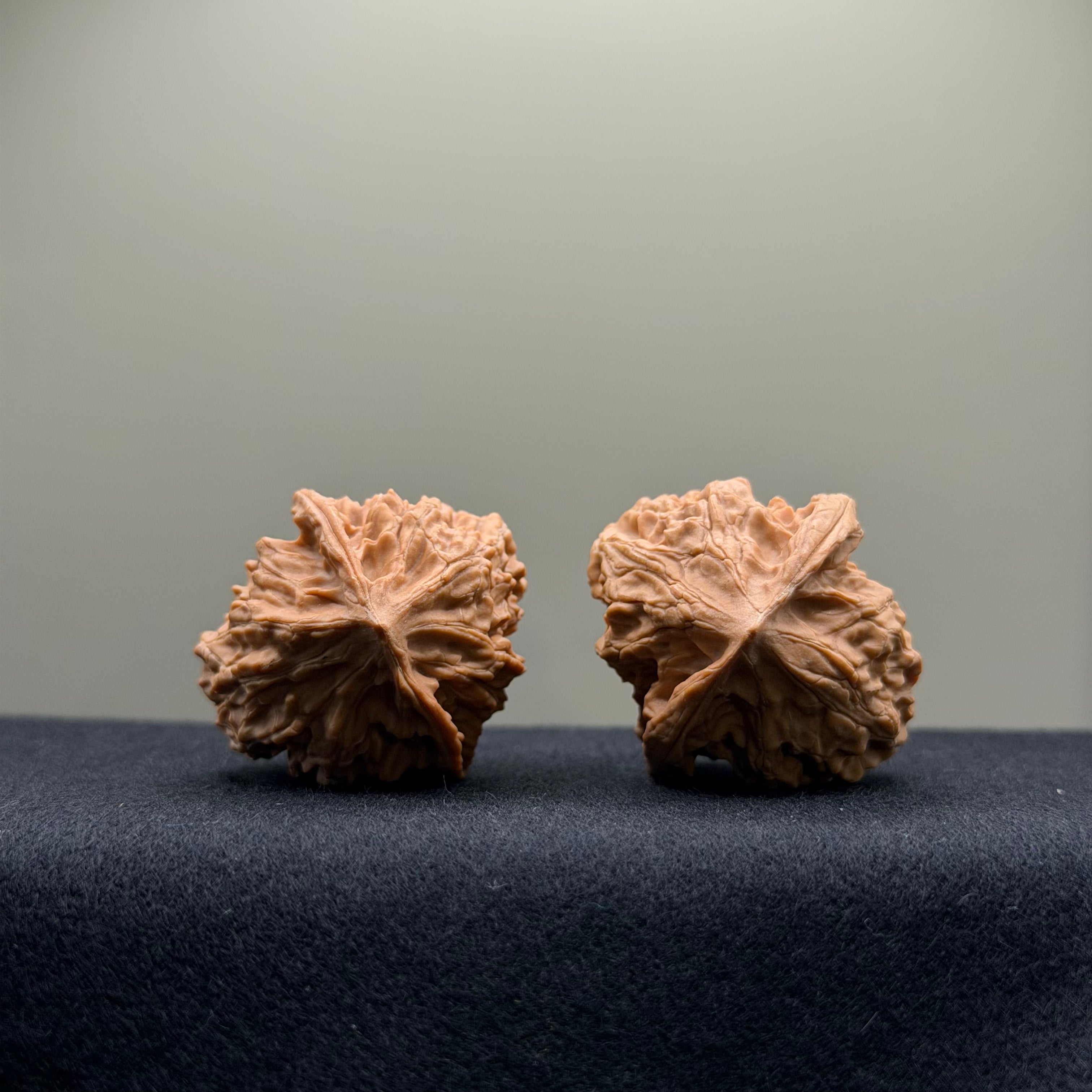 WalnutRitual Exclusive · First Love Wenwan Walnut · 35mm · Natural · Entry Ritual