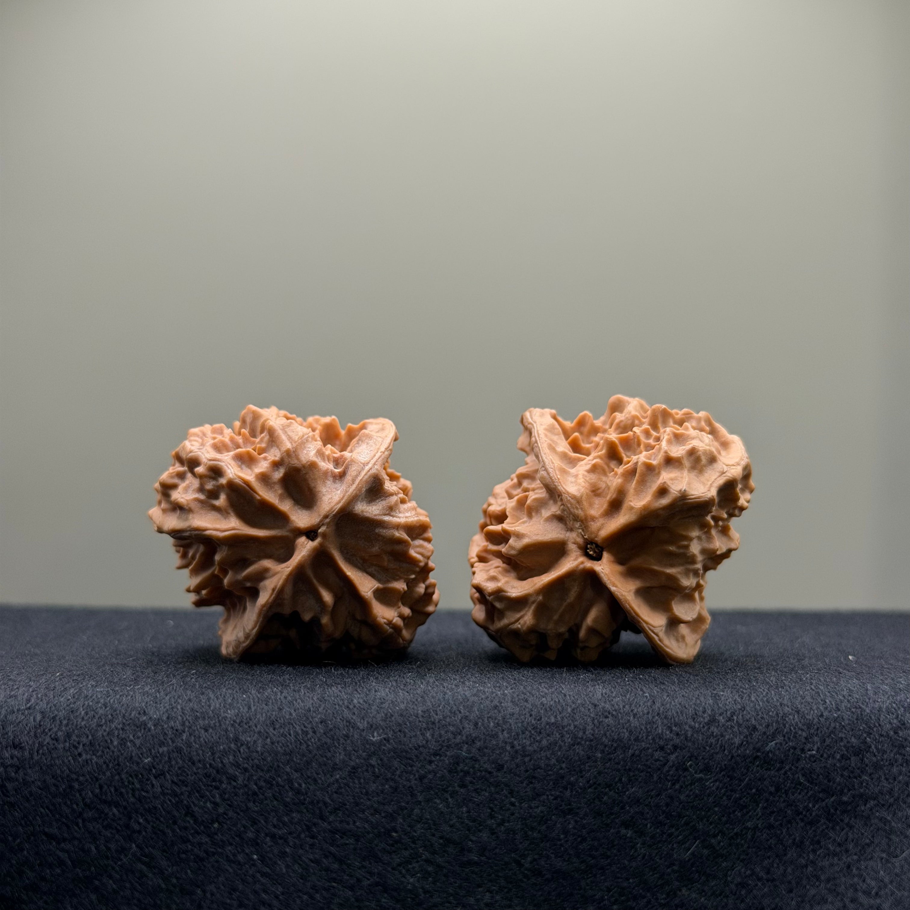 WalnutRitual Exclusive · First Love Wenwan Walnut · 35mm · Natural · Entry Ritual