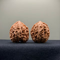 WalnutRitual Exclusive · First Love Wenwan Walnut · 35mm · Natural · Entry Ritual