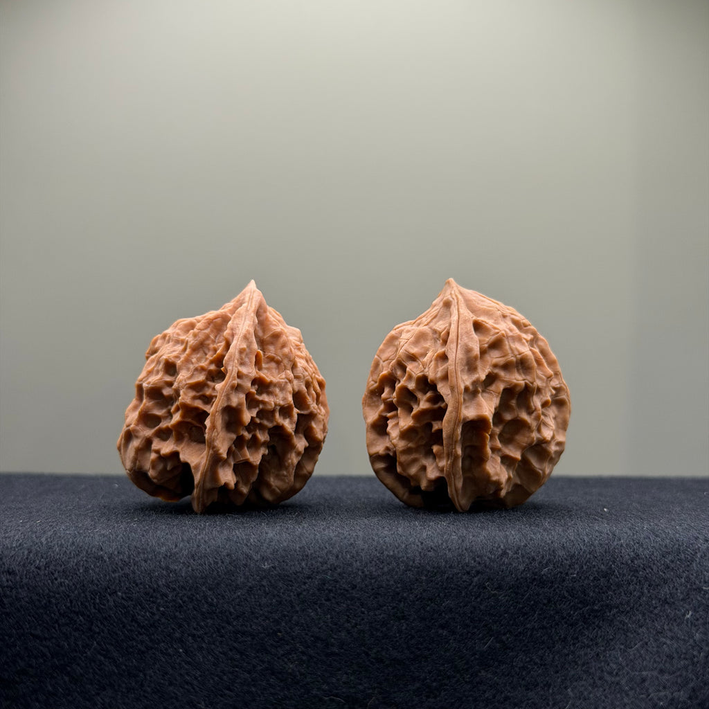 WalnutRitual Exclusive · First Love Wenwan Walnut · 35mm · Natural · Entry Ritual