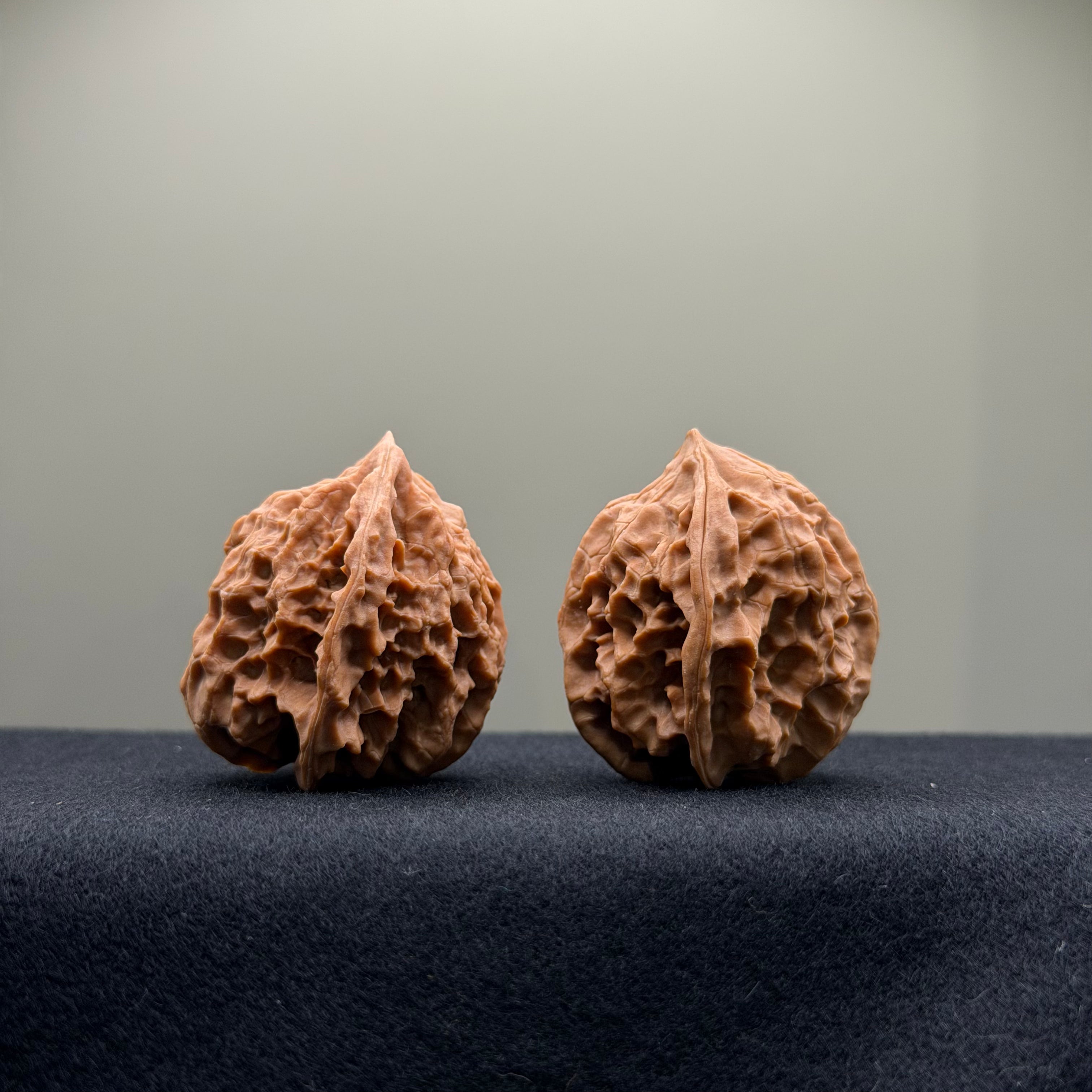 WalnutRitual Exclusive · First Love Wenwan Walnut · 35mm · Natural · Entry Ritual