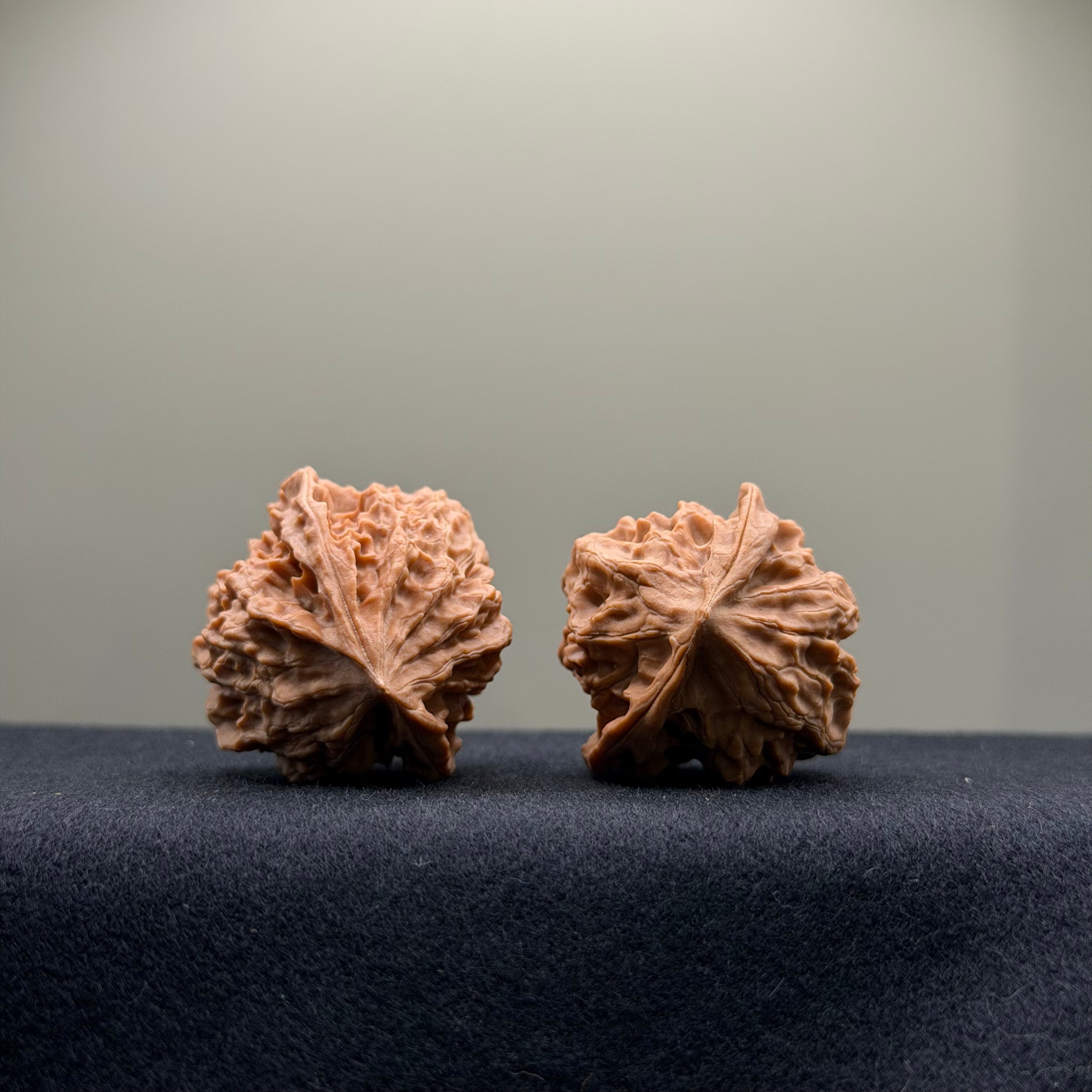 WalnutRitual Exclusive · First Love Wenwan Walnut · 35mm · Natural · Entry Ritual