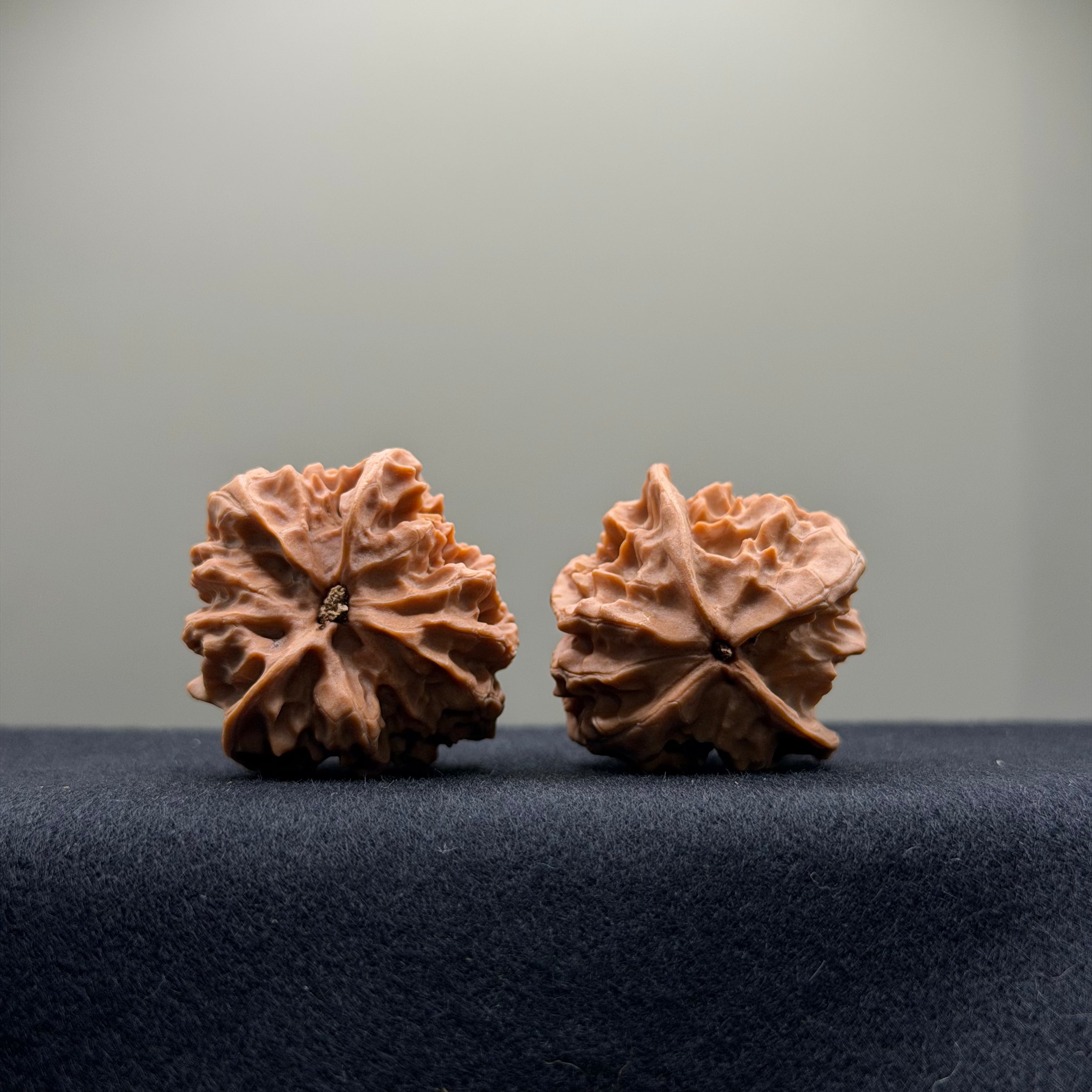 WalnutRitual Exclusive · First Love Wenwan Walnut · 35mm · Natural · Entry Ritual