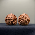 WalnutRitual Exclusive · First Love Wenwan Walnut · 38mm · Natural · Select Ritual