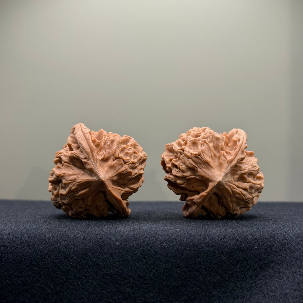 WalnutRitual Exclusive · First Love Wenwan Walnut · 38mm · Natural · Select Ritual