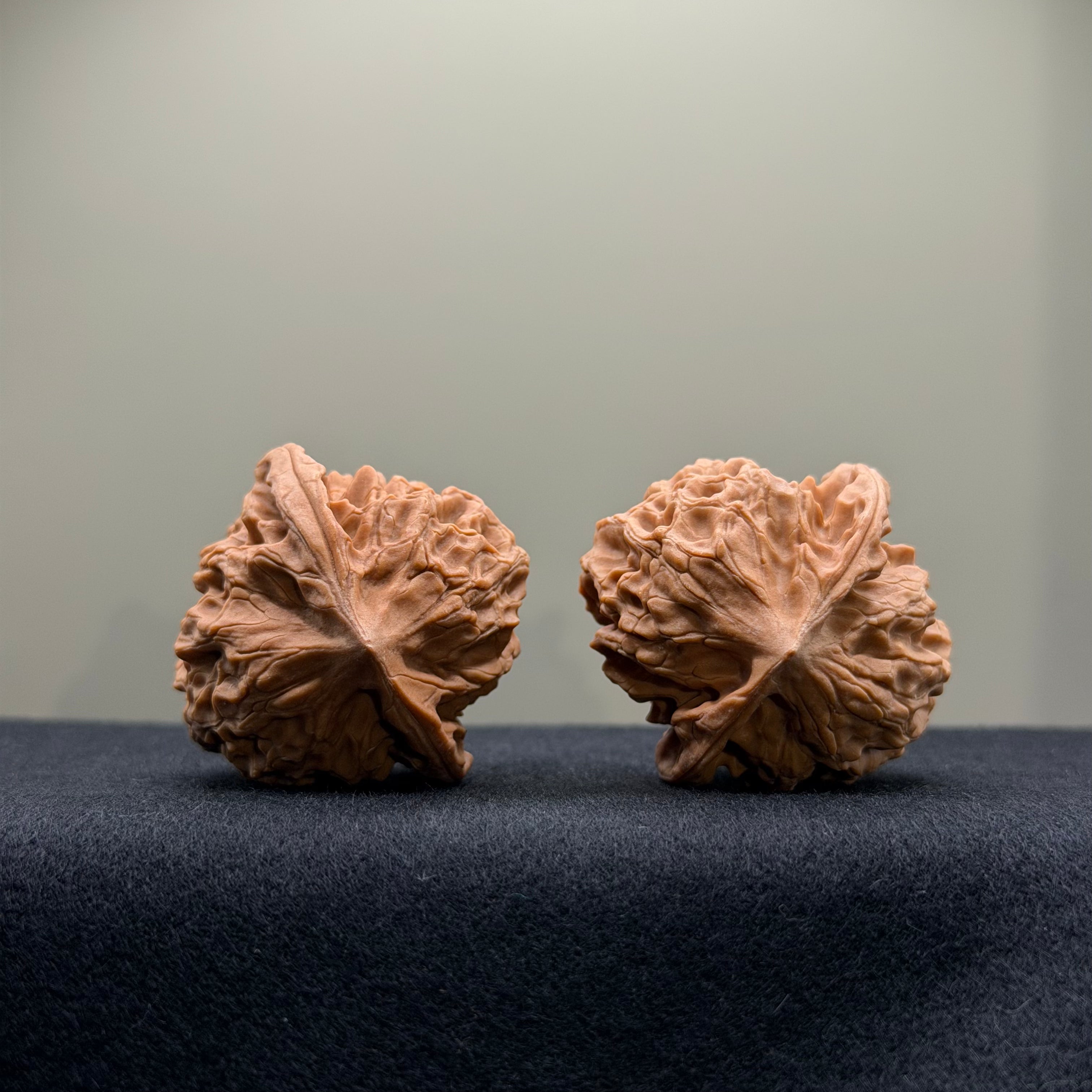 WalnutRitual Exclusive · First Love Wenwan Walnut · 38mm · Natural · Select Ritual