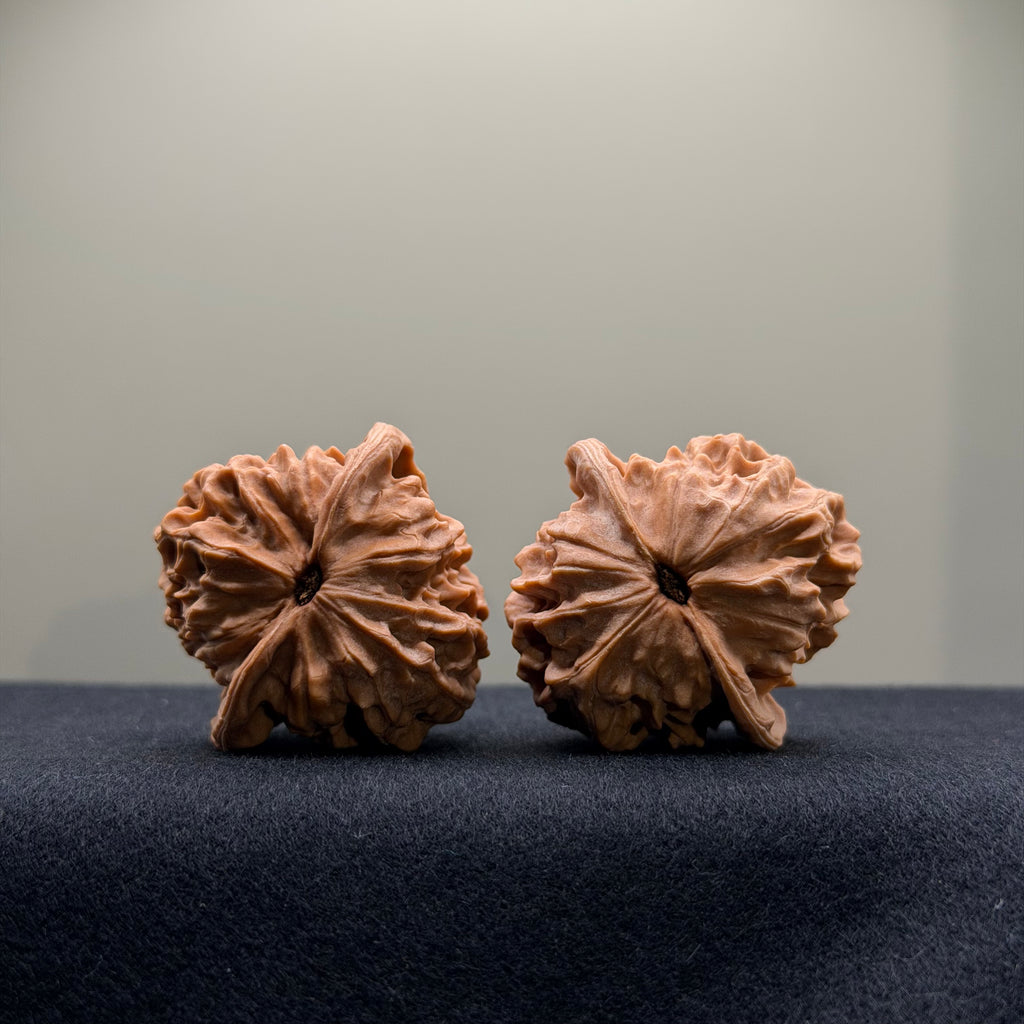 WalnutRitual Exclusive · First Love Wenwan Walnut · 38mm · Natural · Select Ritual