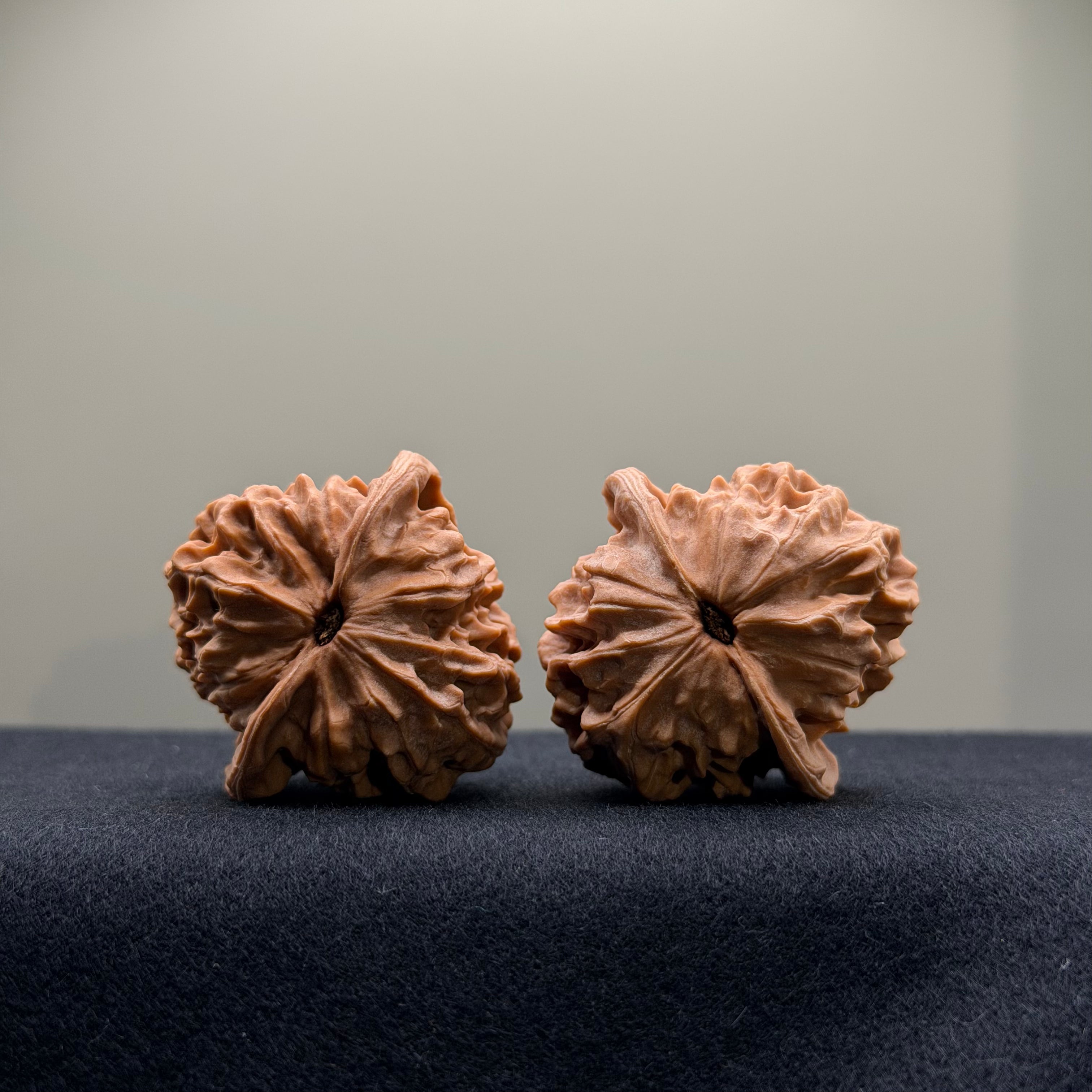 WalnutRitual Exclusive · First Love Wenwan Walnut · 38mm · Natural · Select Ritual