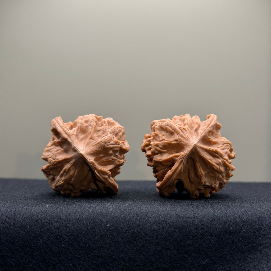WalnutRitual Exclusive · First Love Wenwan Walnut · 37mm · Natural · Select Ritual