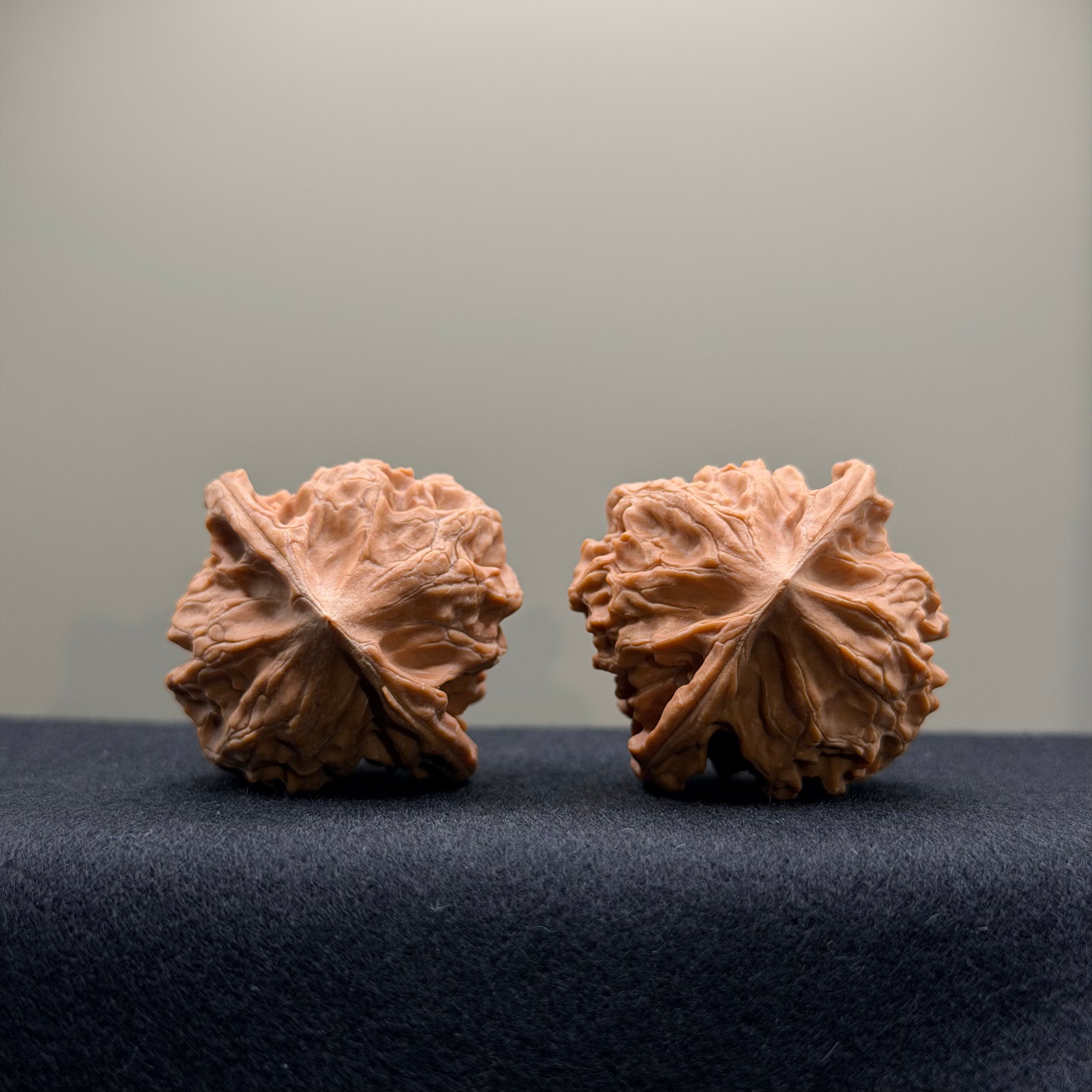 WalnutRitual Exclusive · First Love Wenwan Walnut · 37mm · Natural · Select Ritual