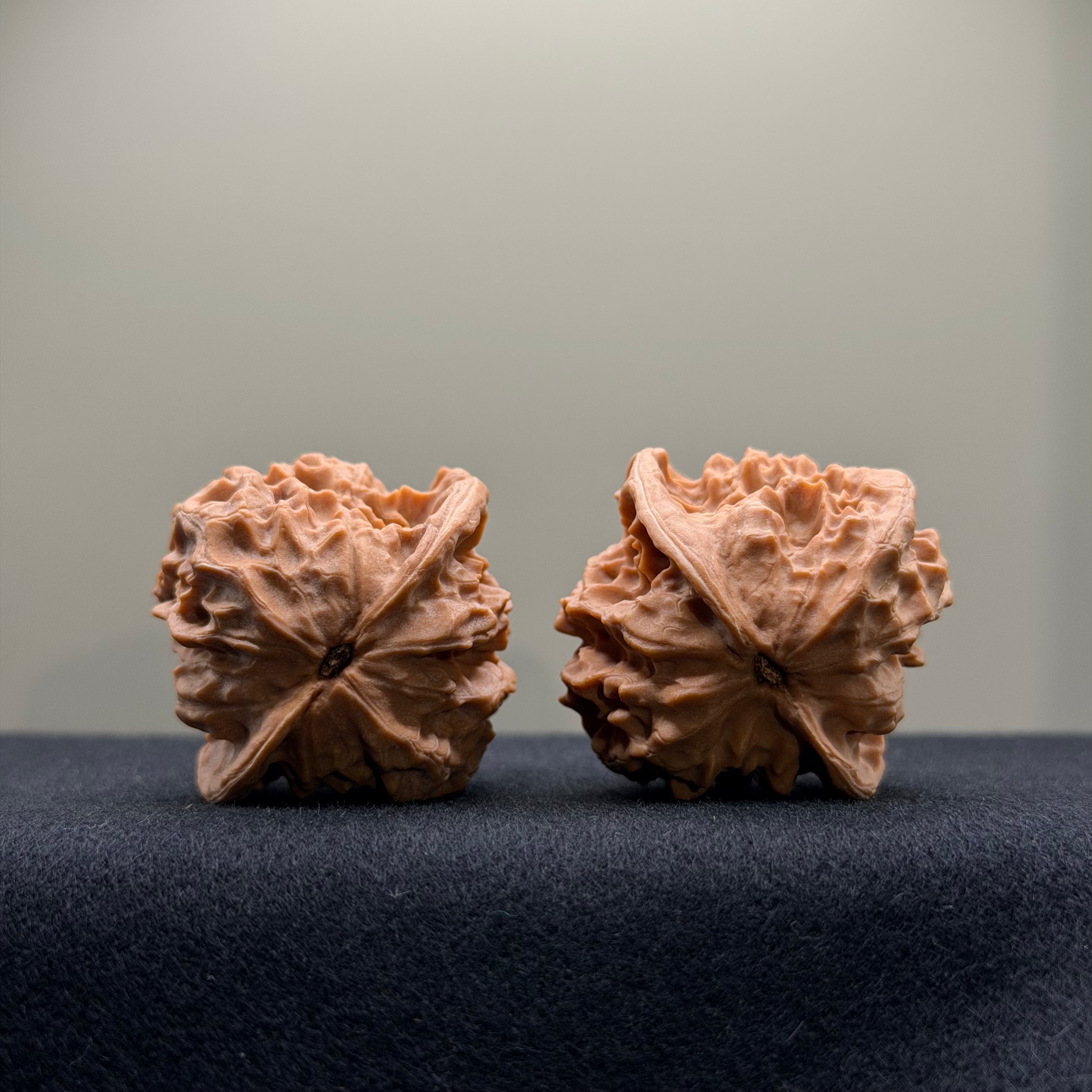 WalnutRitual Exclusive · First Love Wenwan Walnut · 37mm · Natural · Select Ritual