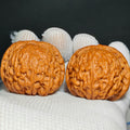 QianLong Millstone Wenwan Walnut · 42mm · Natural · Sourcing Pick