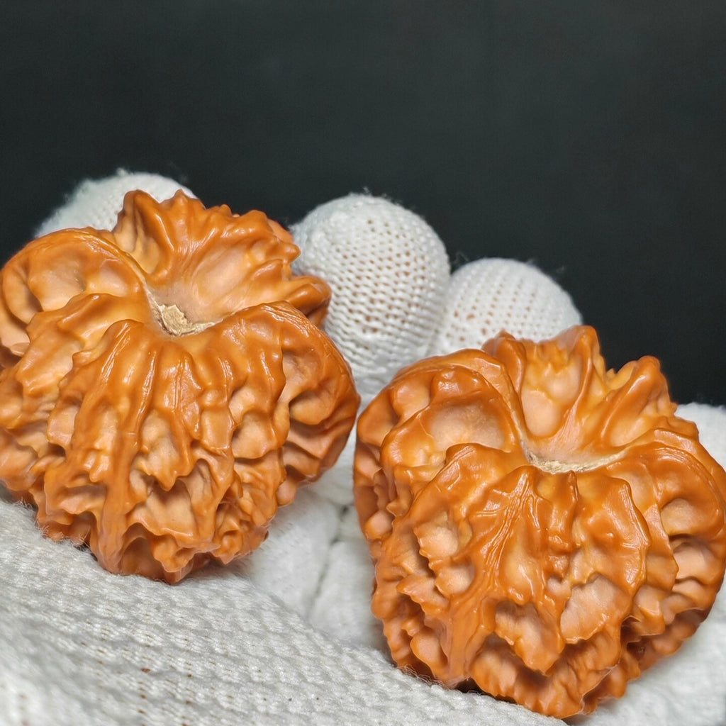 Cao Dalong Wenwan Walnut · 43mm · Sourcing Pick
