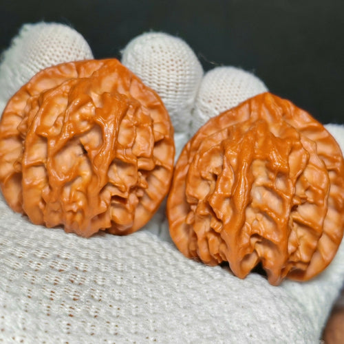 Cao Dalong Wenwan Walnut · 43mm · Sourcing Pick