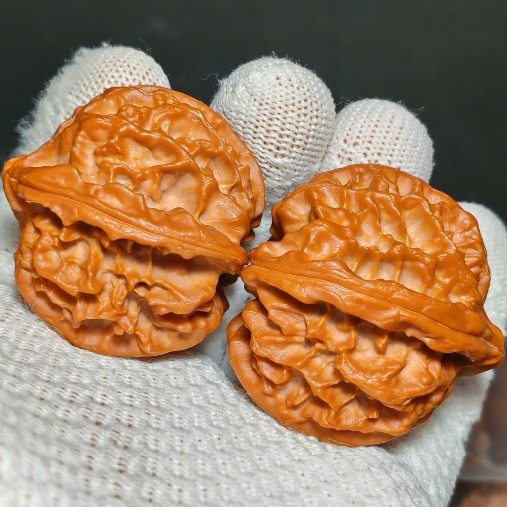 Cao Dalong Wenwan Walnut · 43mm · Sourcing Pick