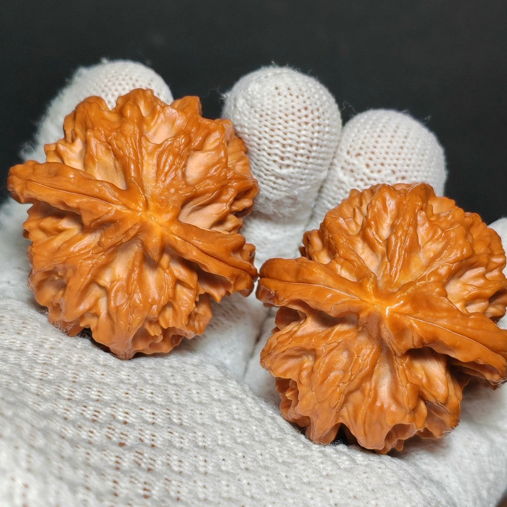 Cao Dalong Wenwan Walnut · 43mm · Sourcing Pick